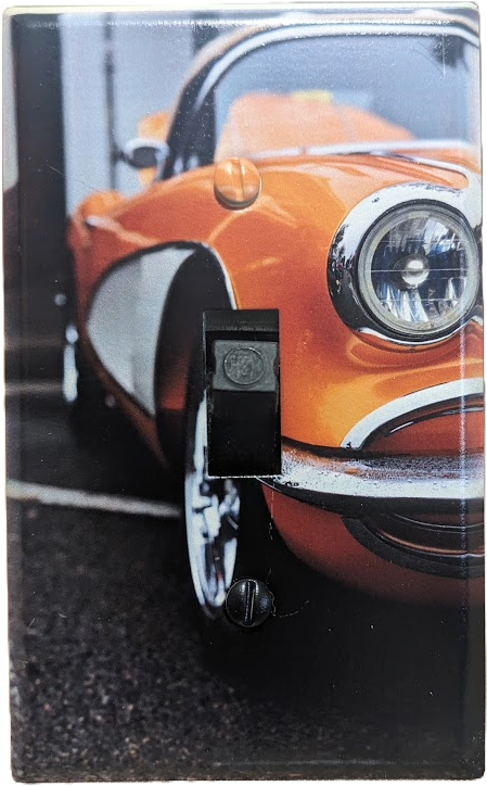 Custom Light Switch Cover