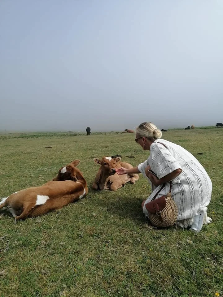 What NOT to do when visiting Madeira