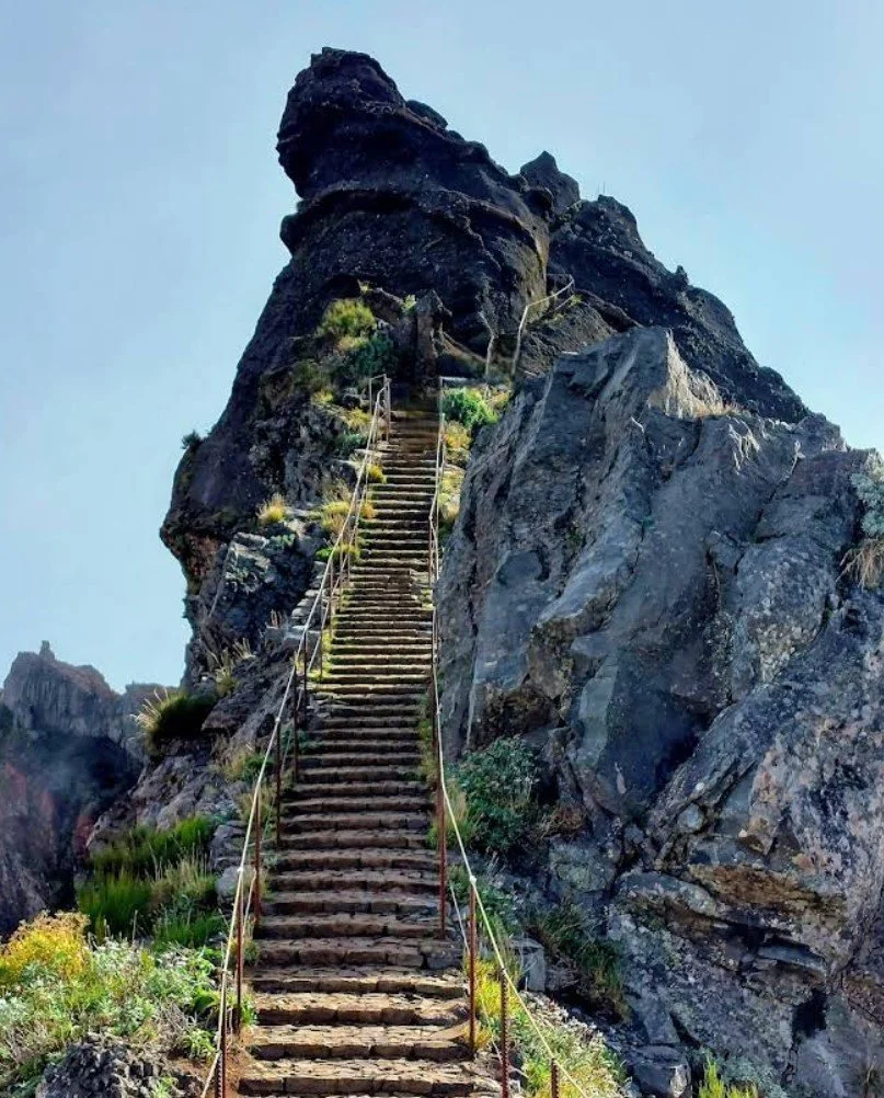 The Beginners Guide to Madeira Island