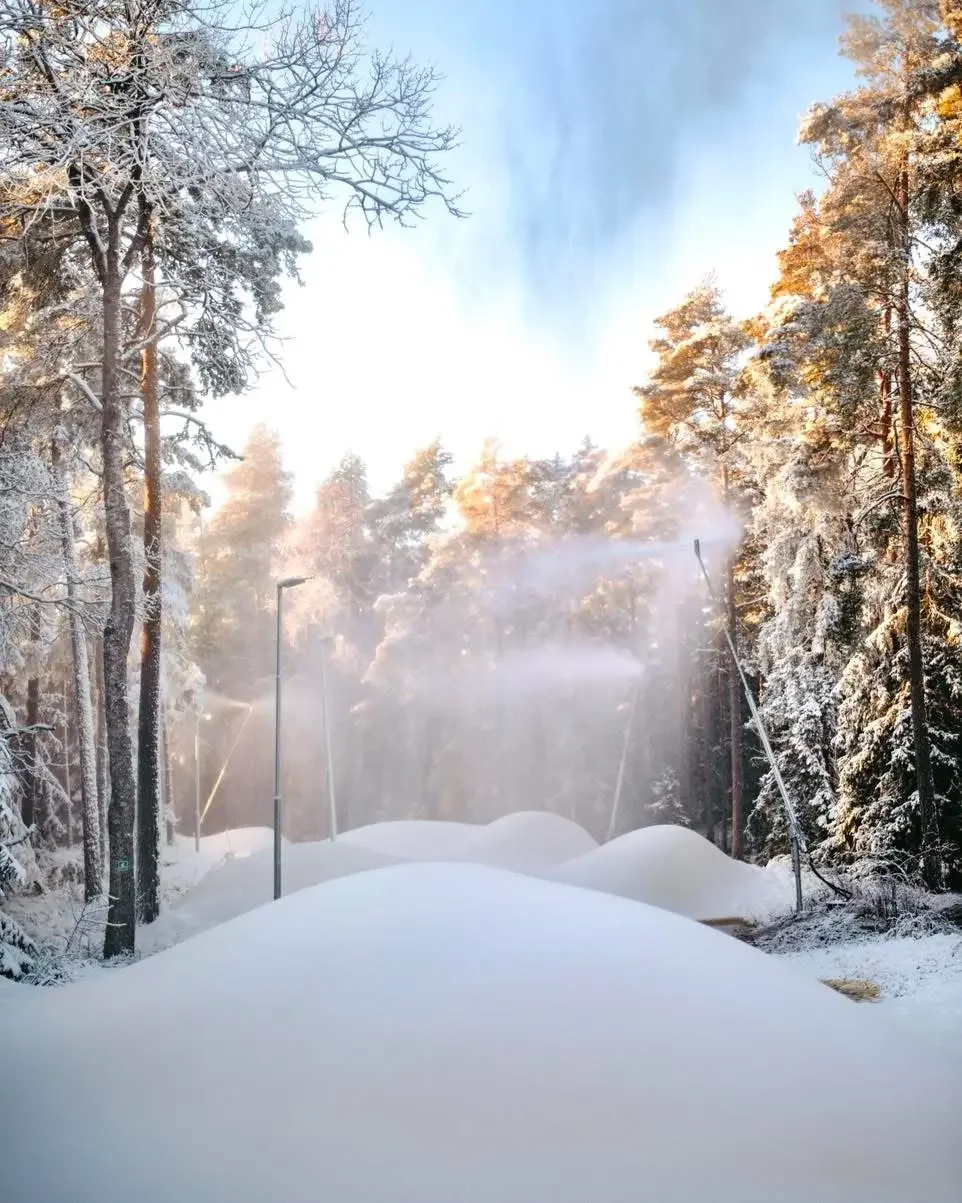 Snow-covered road flanked by snow-laden trees in a forest, with sunlight filtering through the branches and mist in the air.