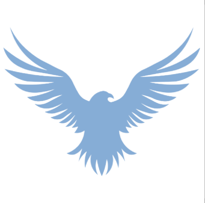 A light blue stylized eagle with outstretched wings on a black background.