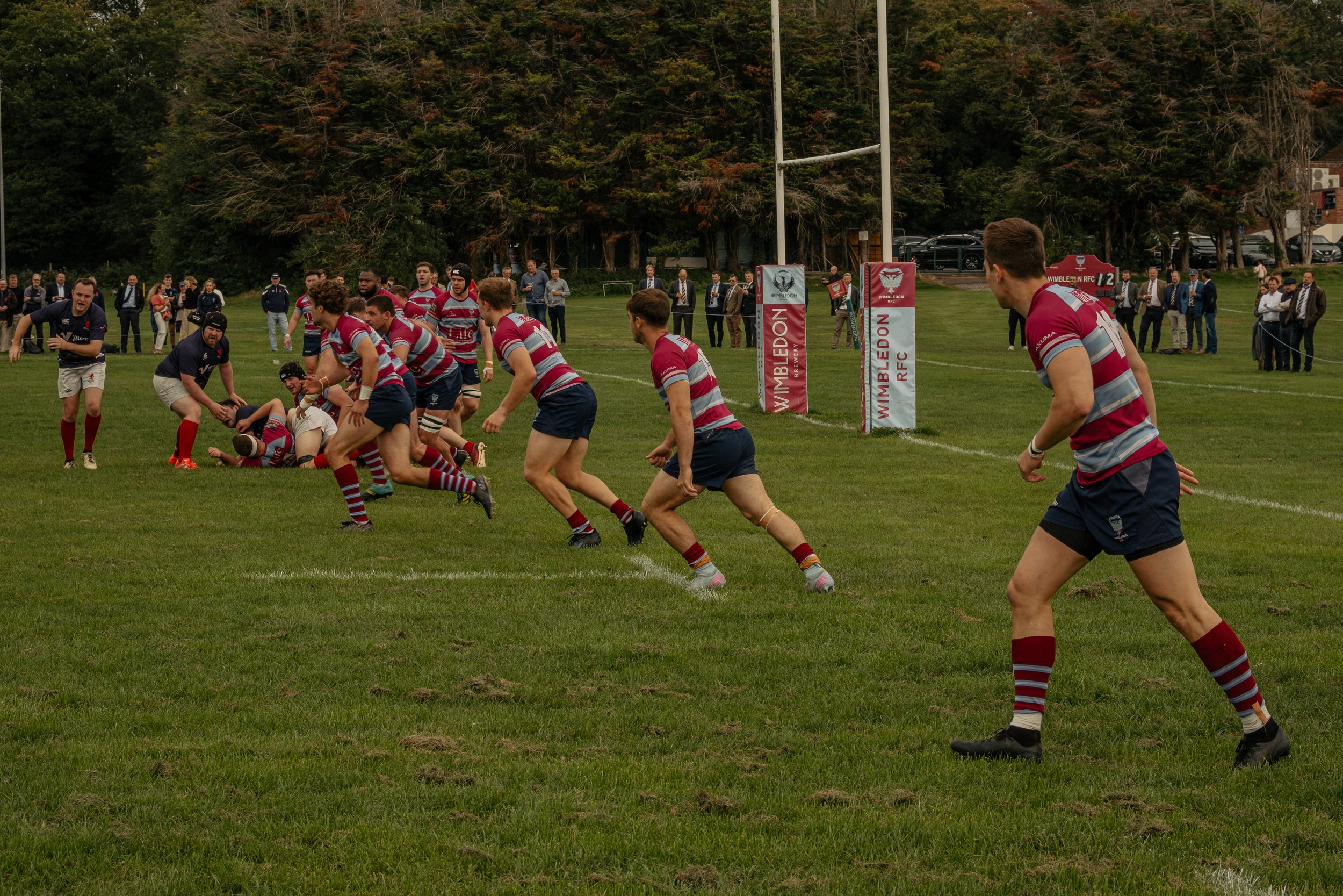 Rugby players in striped uniforms engaged in a game on a grassy field with spectators watching in the background.
