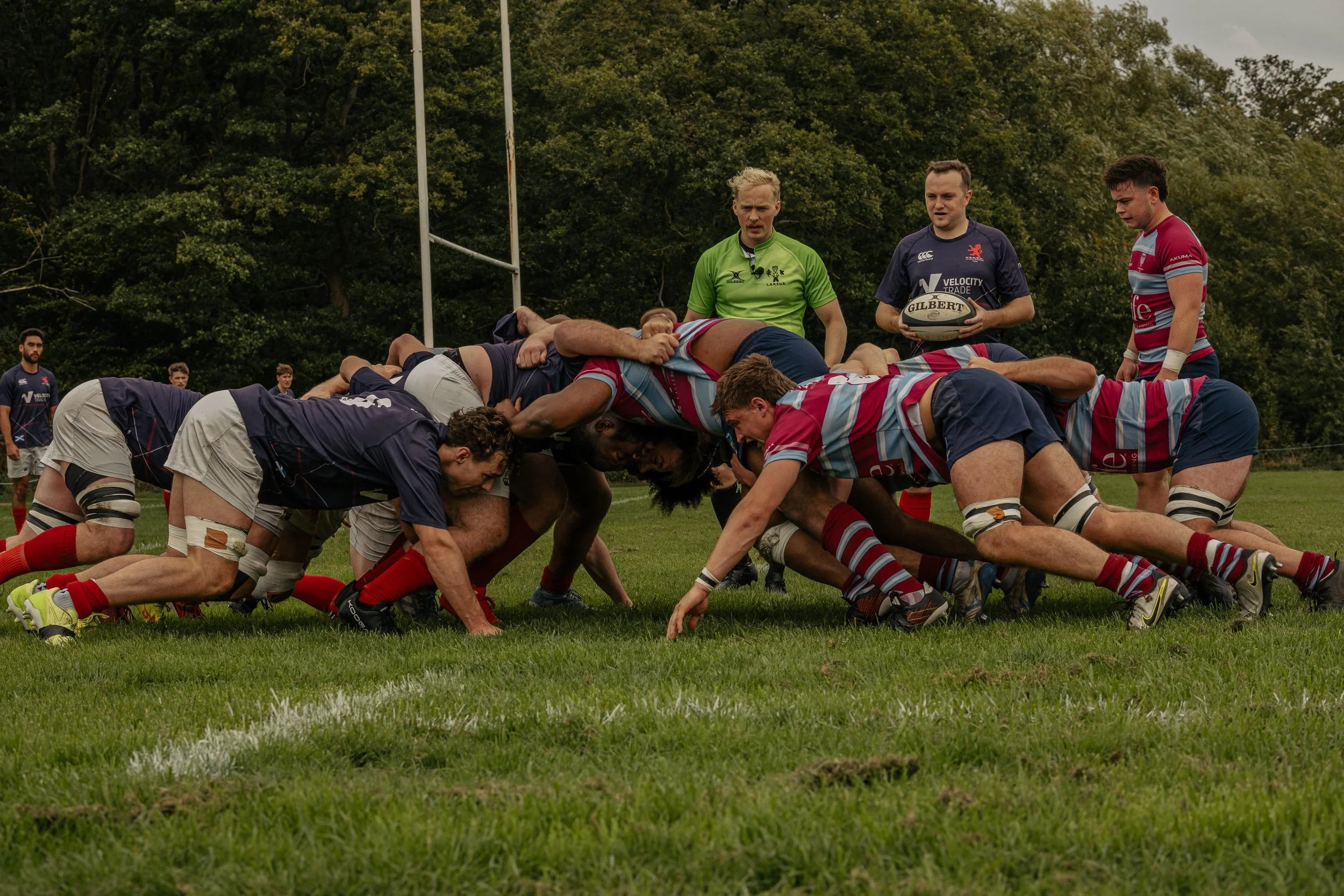 Rugby players engaged in a scrum during a match on a grassy field, with a referee and a player holding a rugby ball in the background, and trees in the distance.