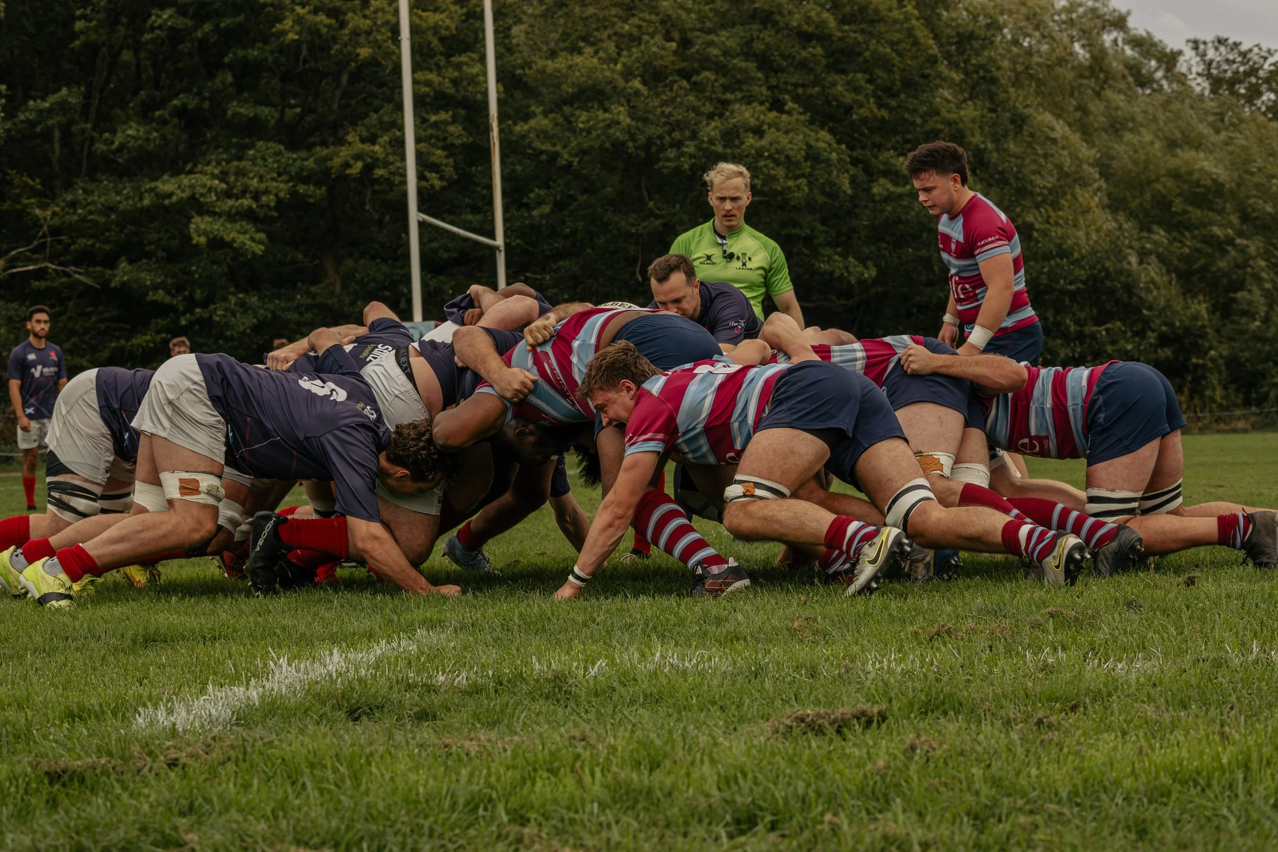 Rugby players in a scrum during a match, with a referee observing, on a grassy field with trees in the background.