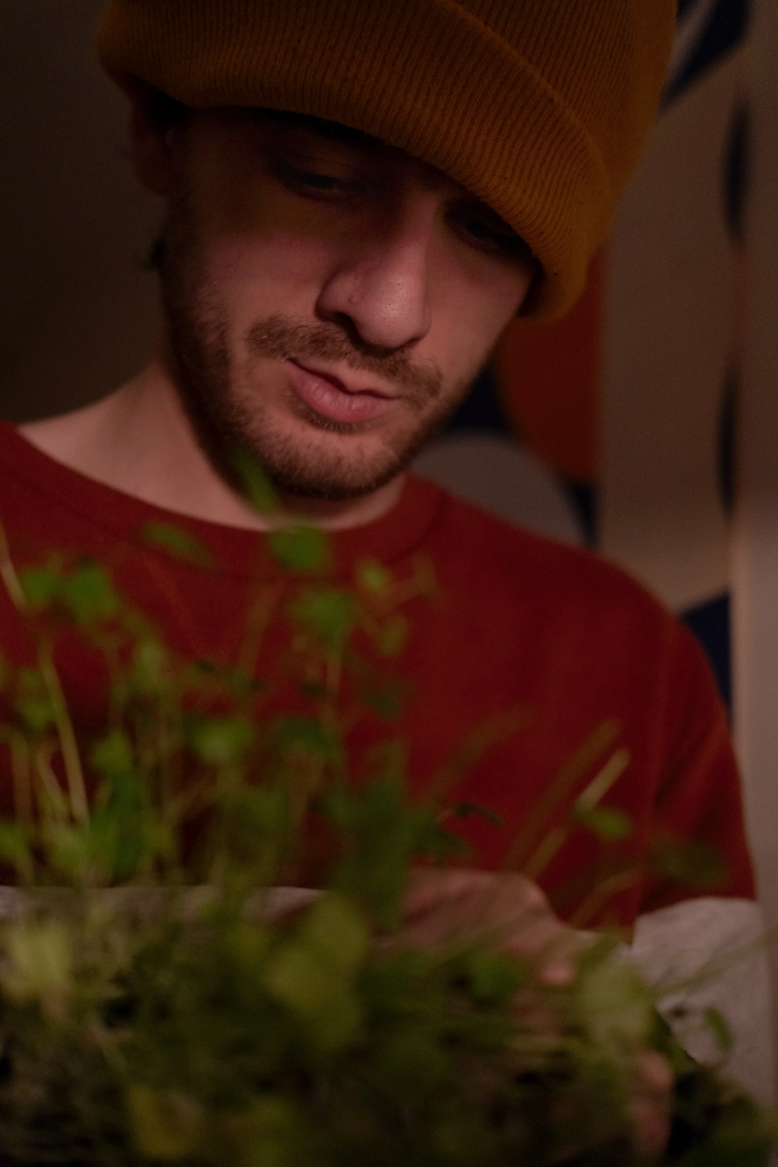 A man wearing a yellow beanie and red shirt, looking down at green plants with a focused expression.