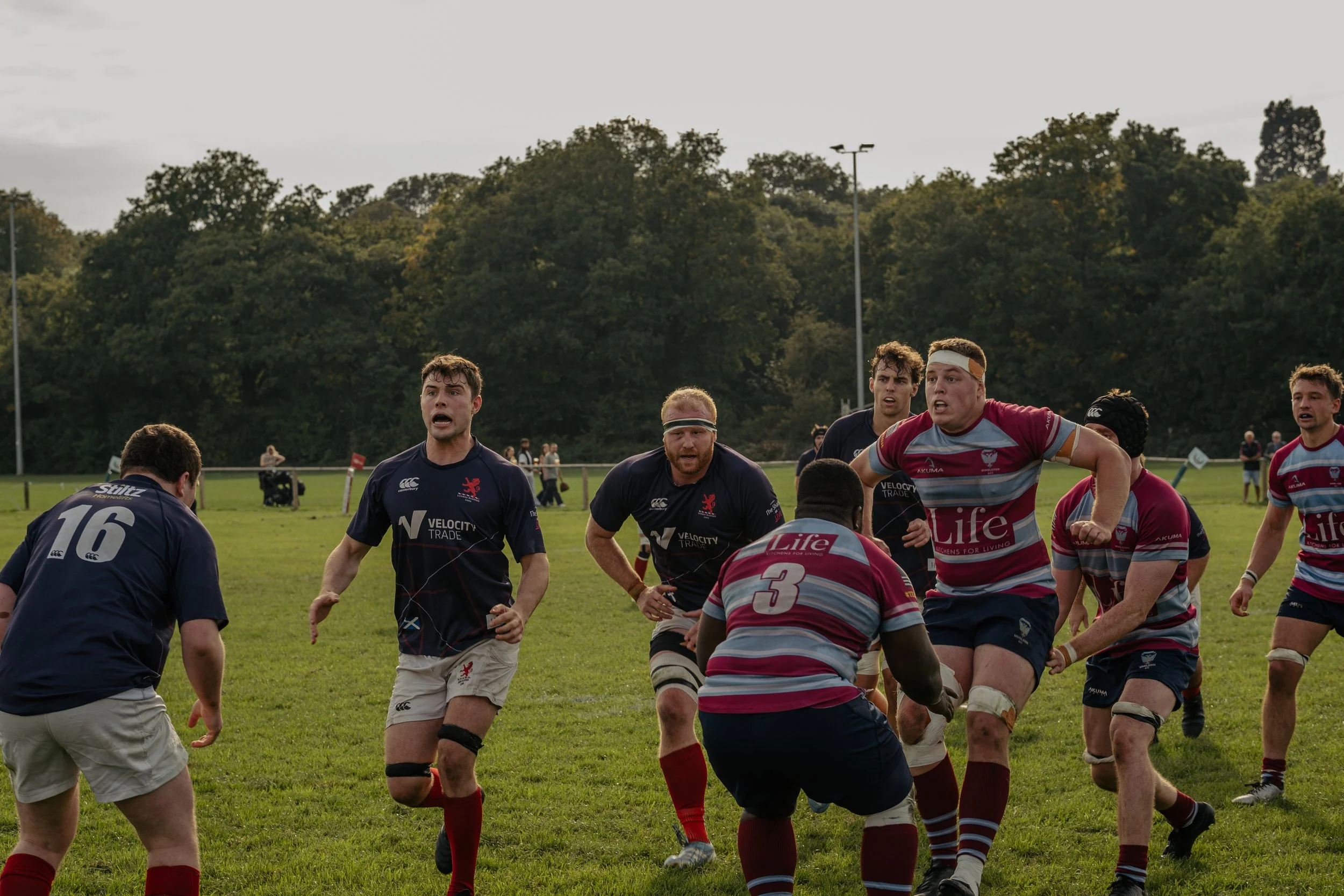 Rugby players in blue and maroon striped jerseys on a grassy field during a game, with some players running and others preparing to tackle or block, while a background of trees and spectators is visible.