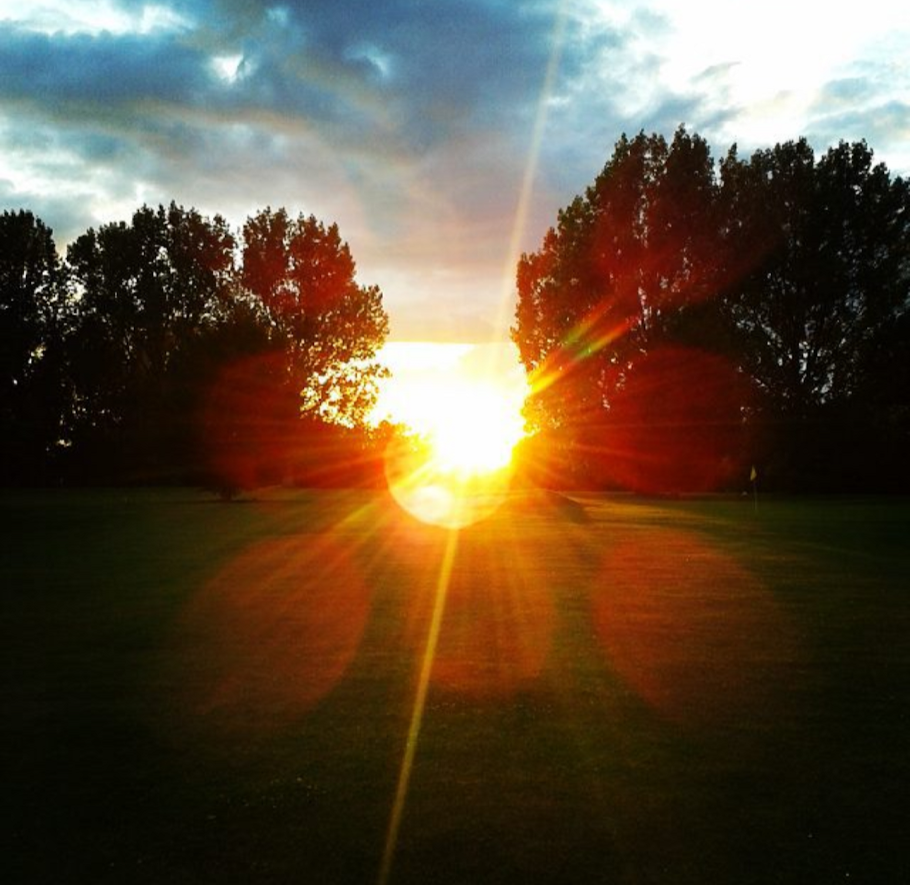 Sunset over a grassy field with trees on both sides, rays of sunlight creating a flare effect in the sky.