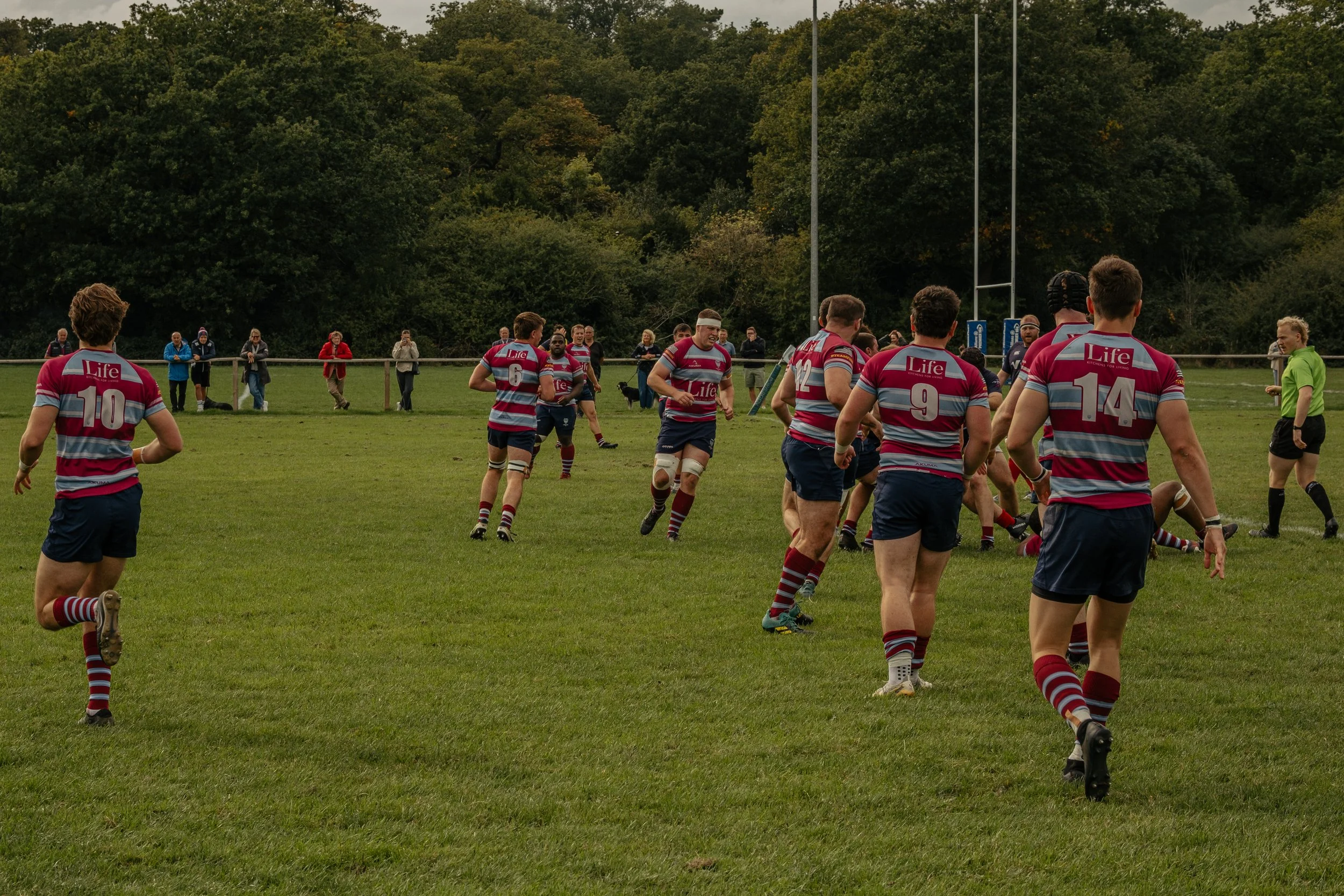 A rugby team in maroon and gray uniforms is playing on a grassy field with several players running and some tackling. Spectators are watching behind a wooden fence, with a wooded area and goal posts in the background.
