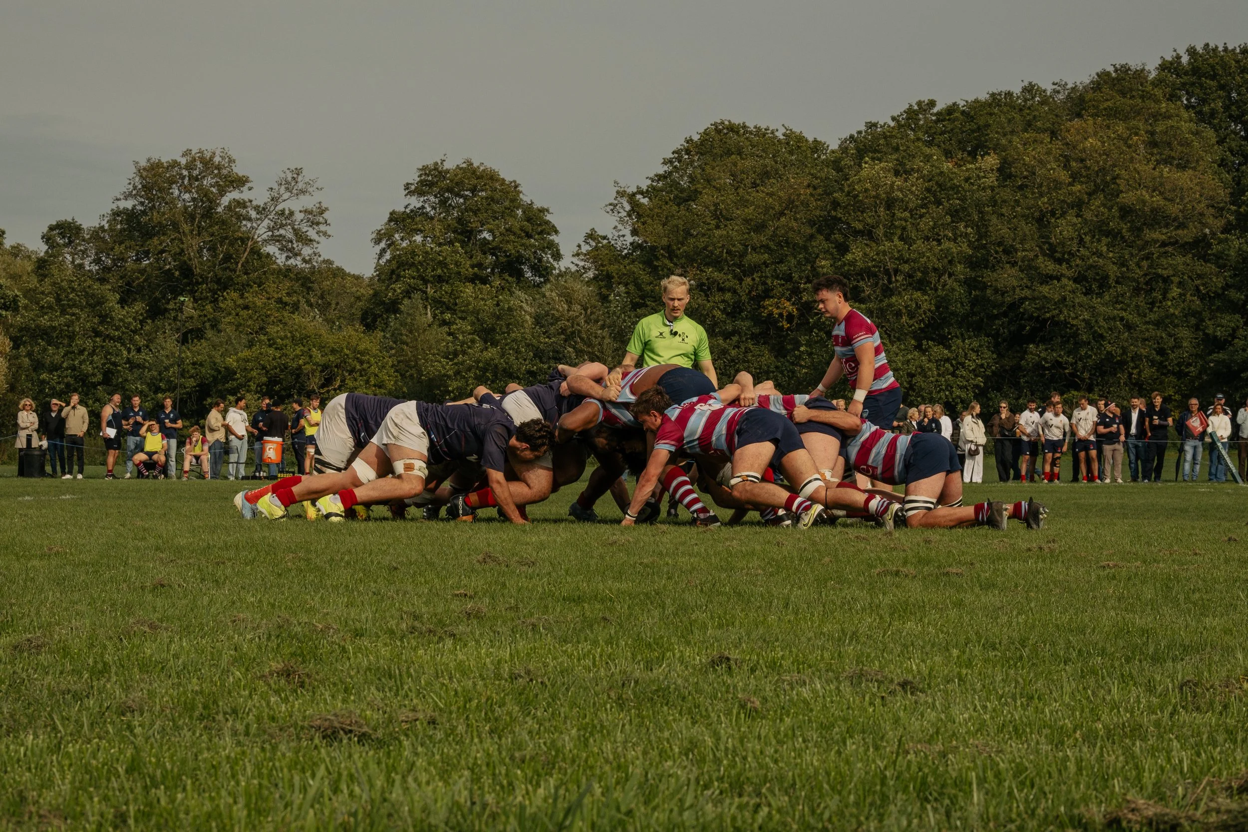 Rugby players in a scrum on a grassy field during a match, with spectators watching in the background.