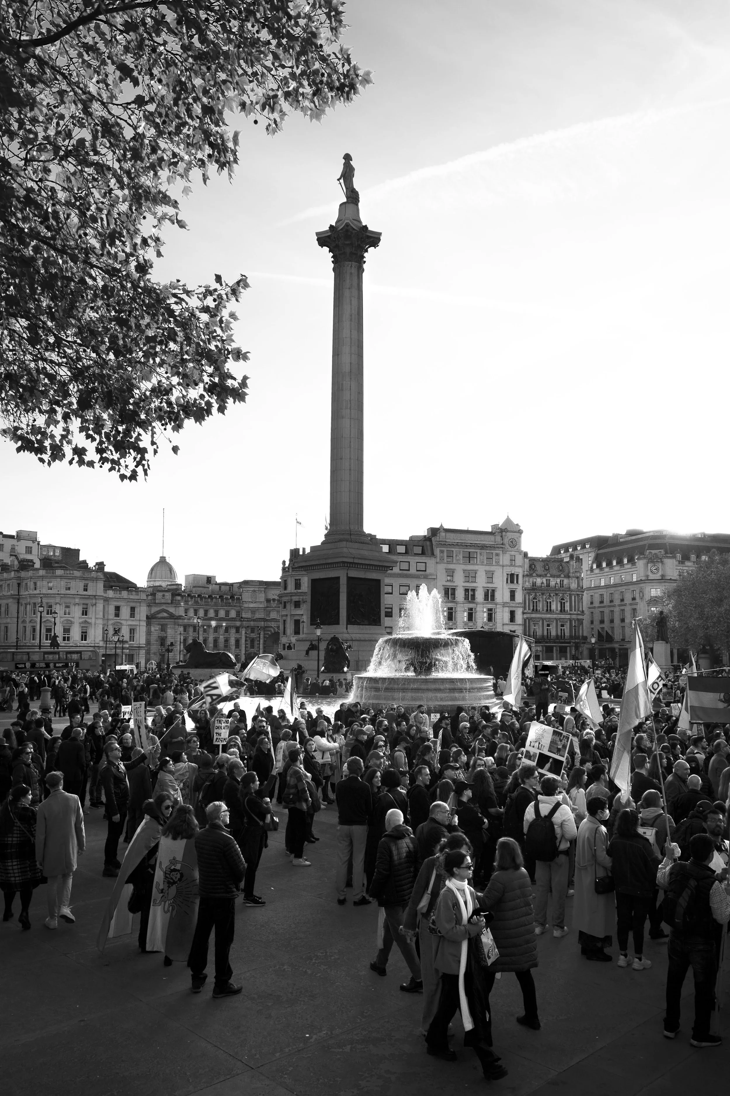 Crowd of protesters gathered in Trafalgar Square with flags and signs, with Nelson's Column and a fountain in the background, in black and white.