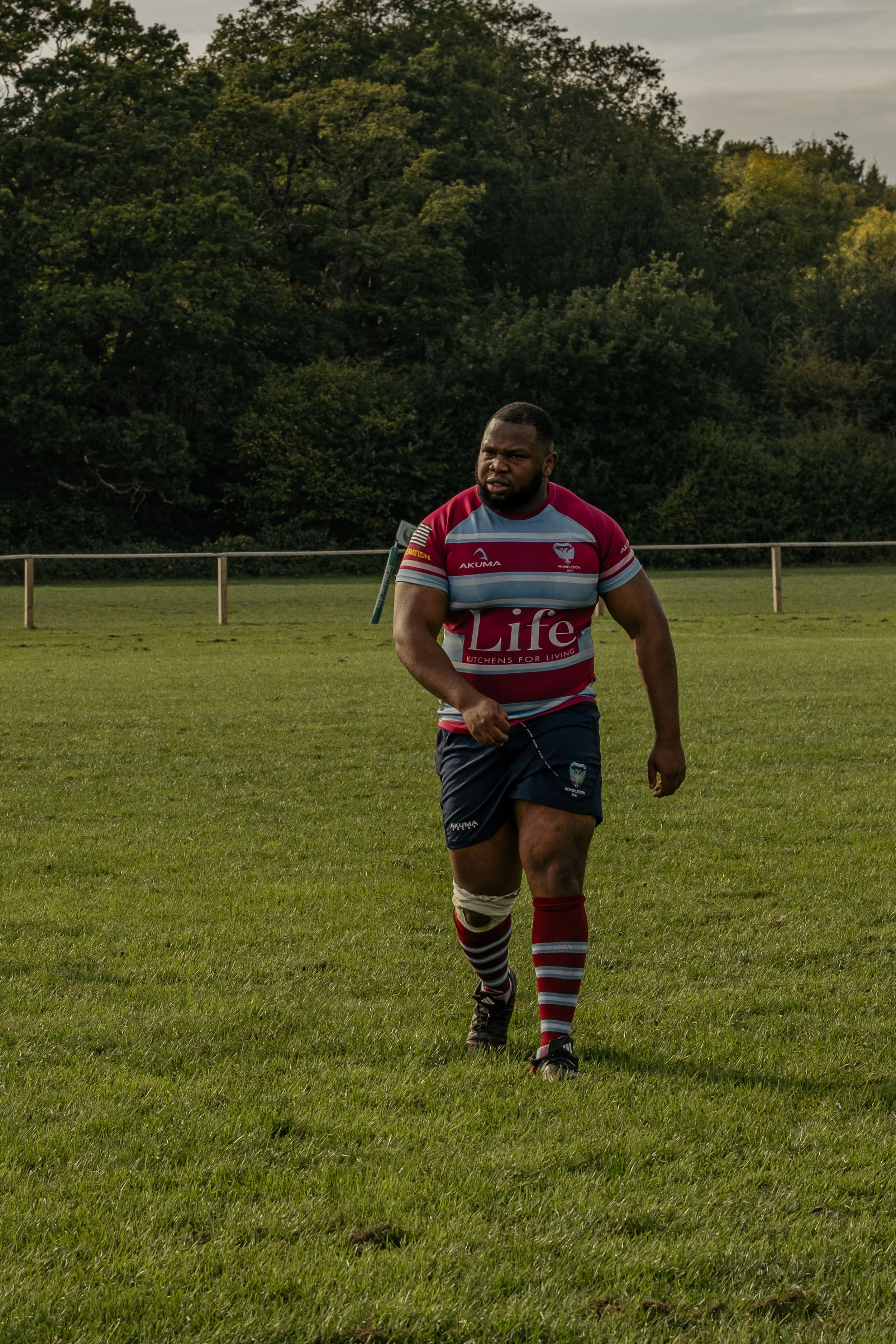 A male rugby player walking on a grassy field during daytime, wearing a maroon and light blue striped jersey, dark shorts, and matching maroon and white striped socks.