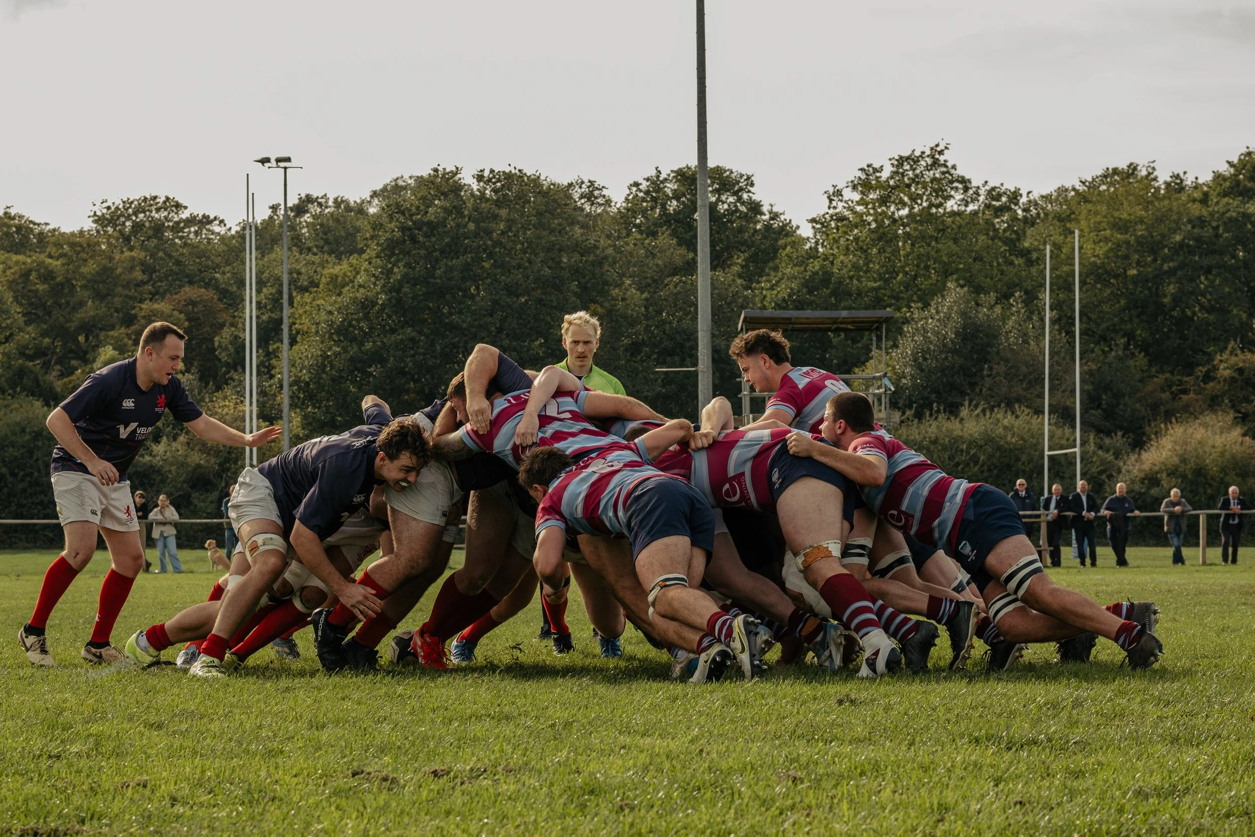 Rugby players in a scrum during a game on a green field with spectators in the background.