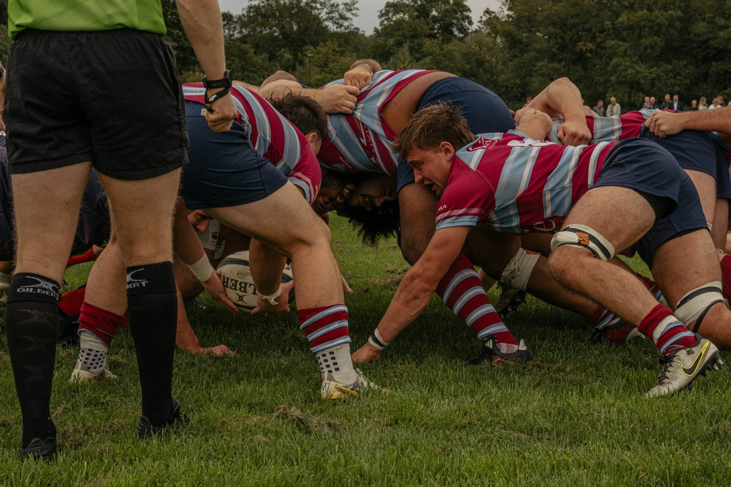 Rugby players in a scrum during a match on a grassy field, with a referee standing nearby and spectators in the background.