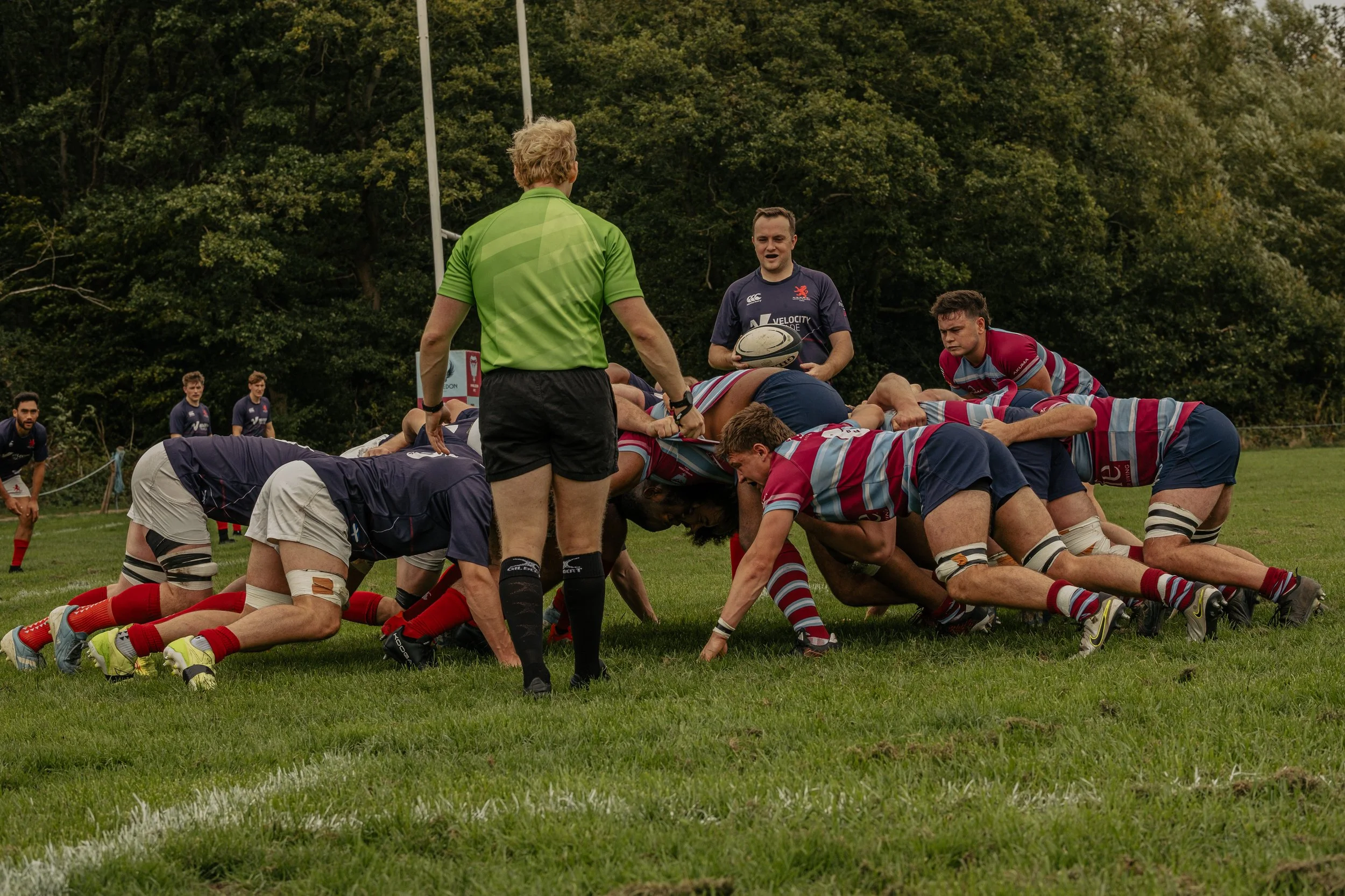 Rugby players engaged in a scrum on a grassy field with trees in the background, and a referee standing in the middle.