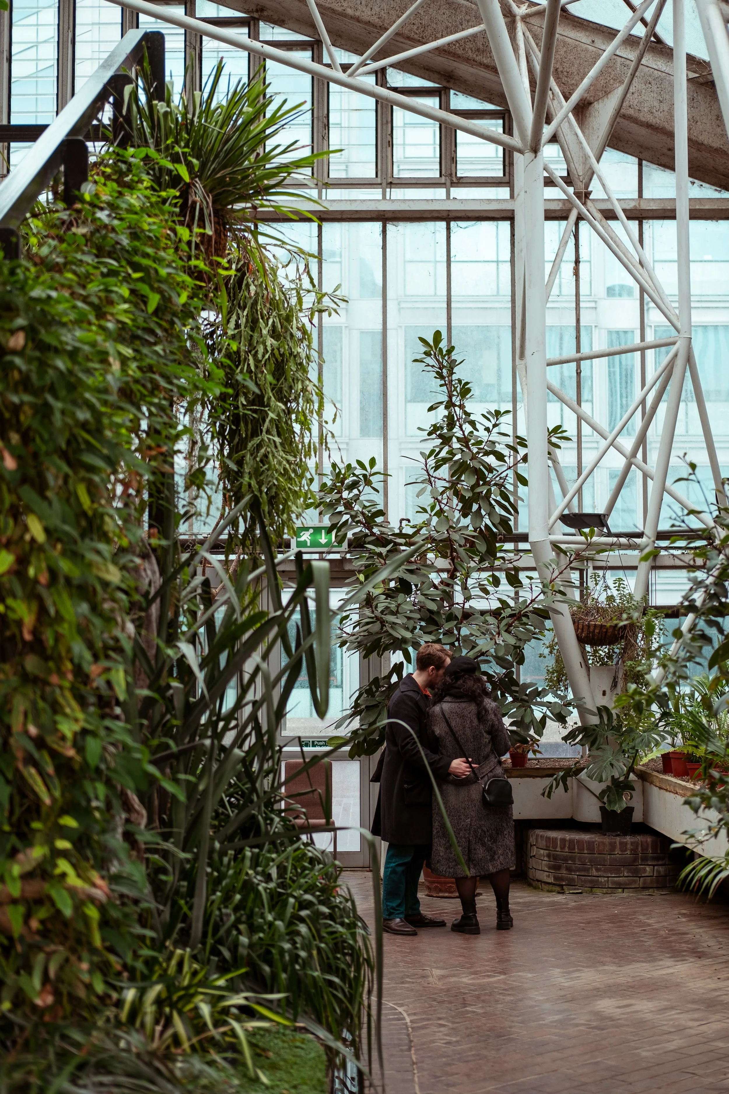 Two people standing close together and looking at plants inside a greenhouse filled with various potted plants and greenery, with large windows and a metallic framework overhead.