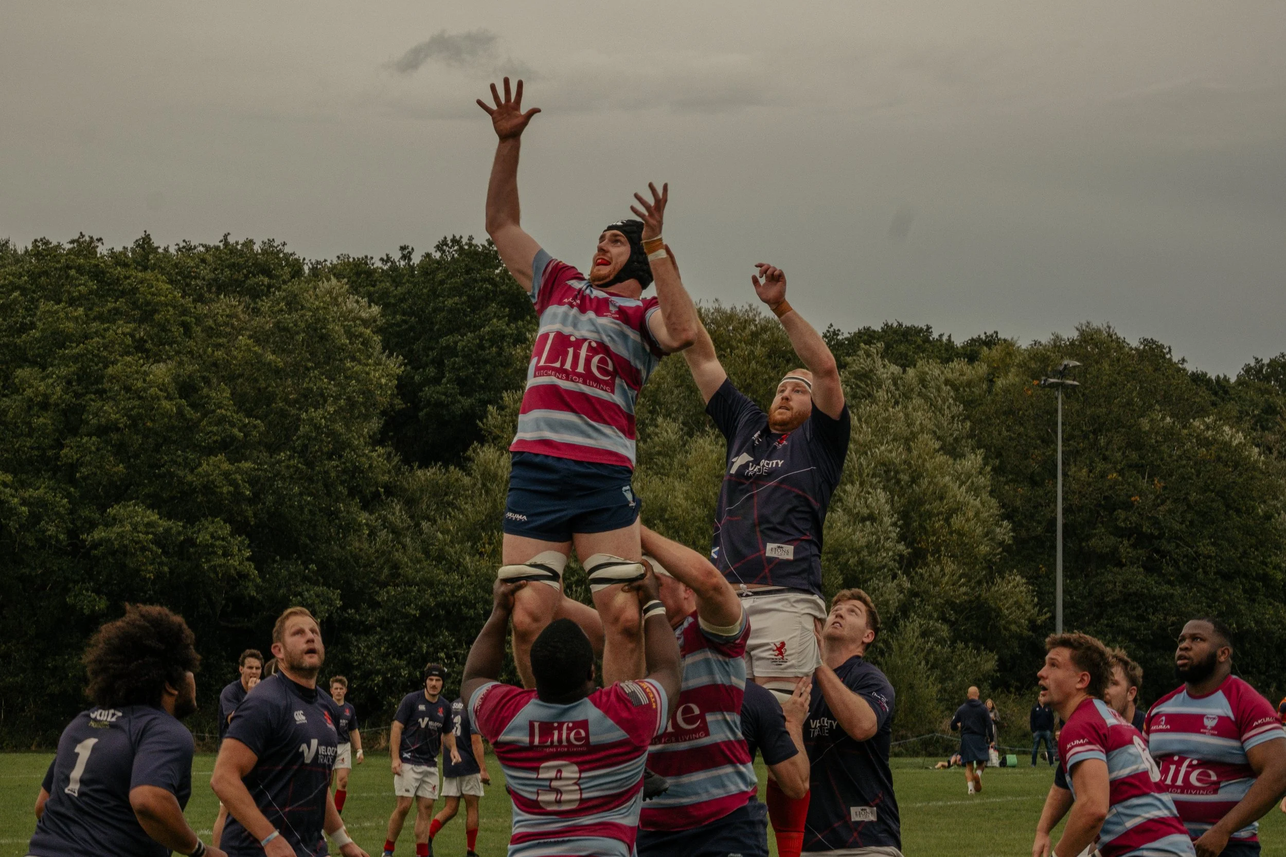 Rugby players engaging in a line-out, with one player lifted by teammates to catch the ball, during a match outdoors on a grassy field with trees and overcast sky in the background.