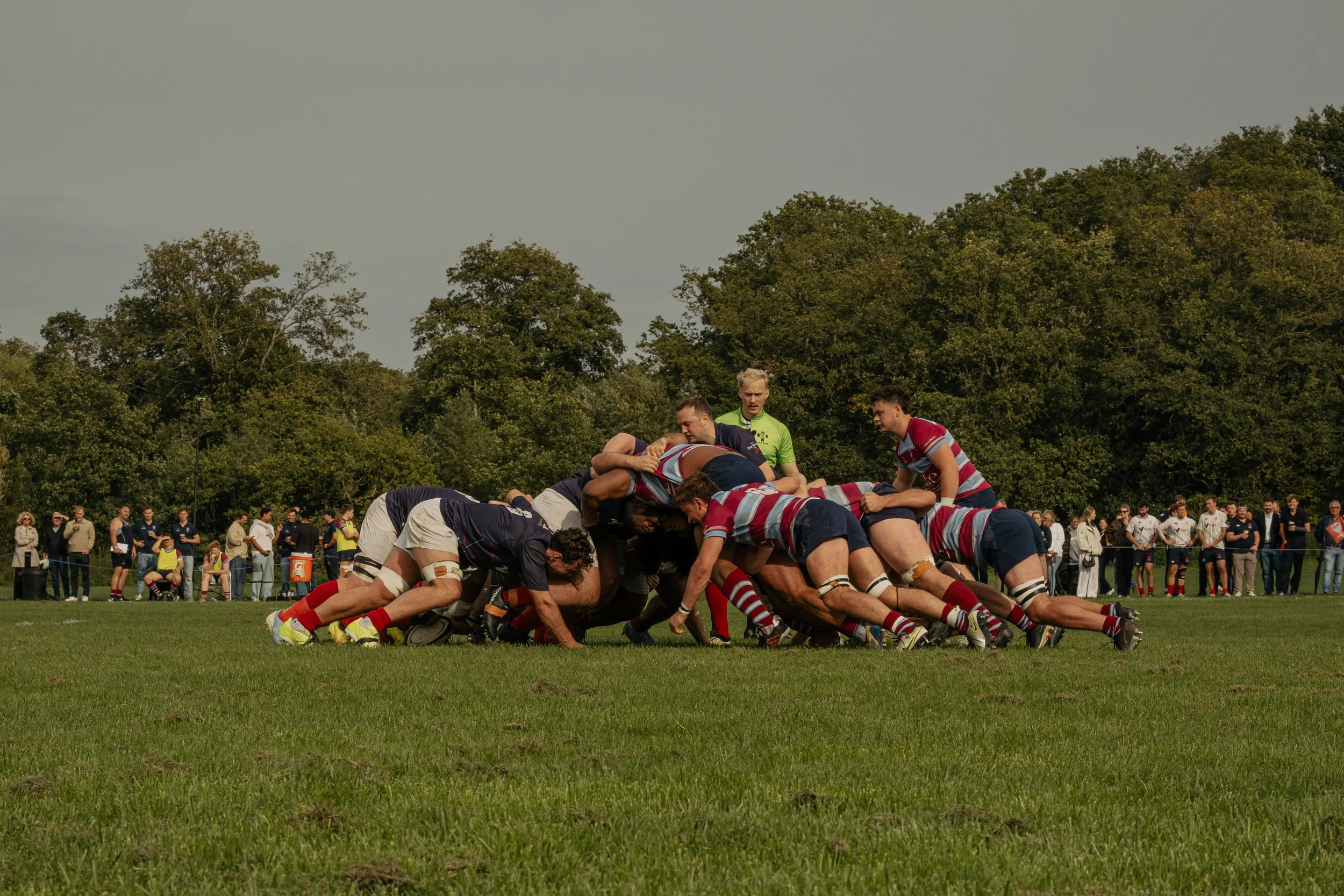 Rugby players engaged in a scrum on a grassy field, with spectators watching in the background, and trees under an overcast sky.