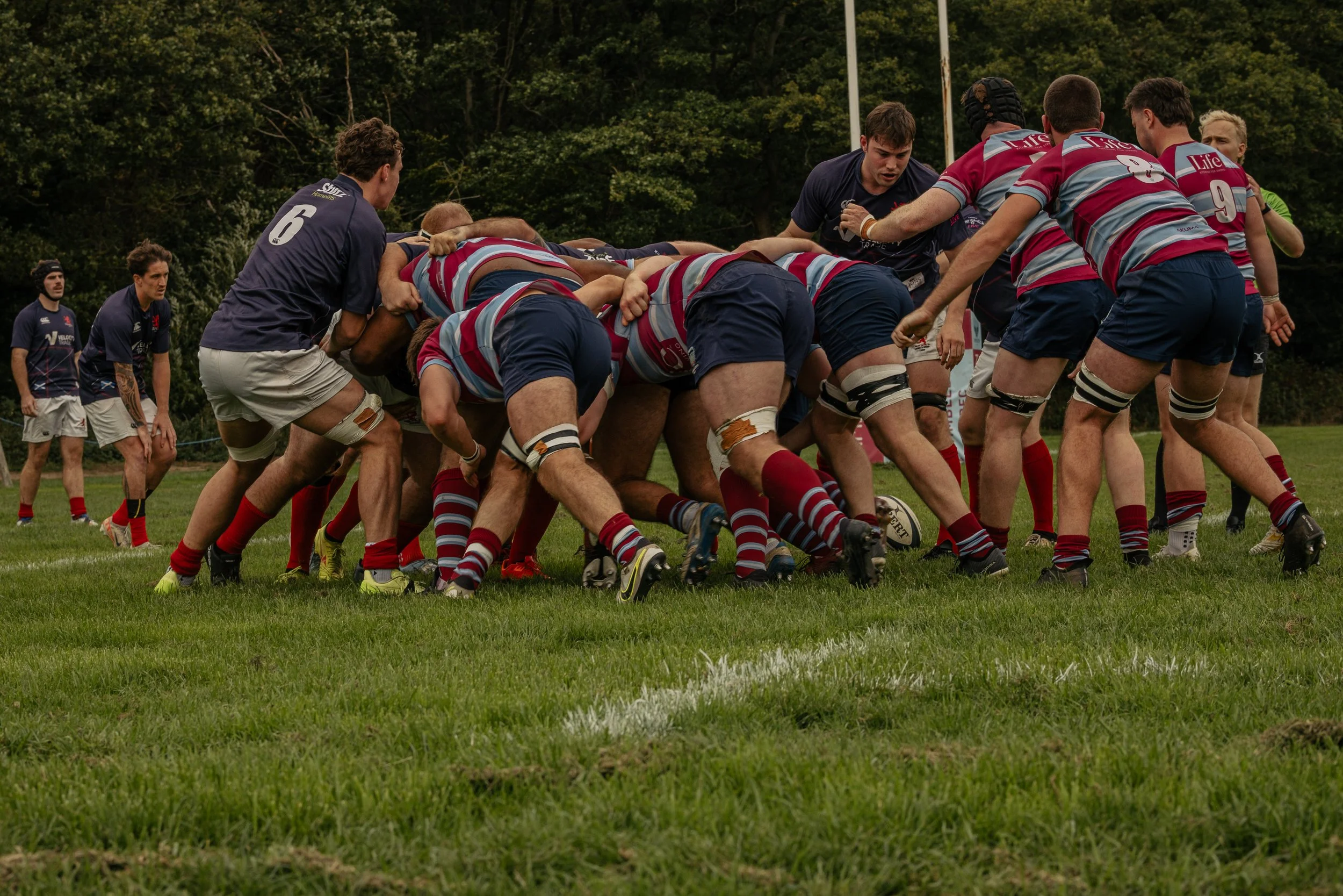 Rugby players in a scrum during a game on a grassy field with trees in the background.