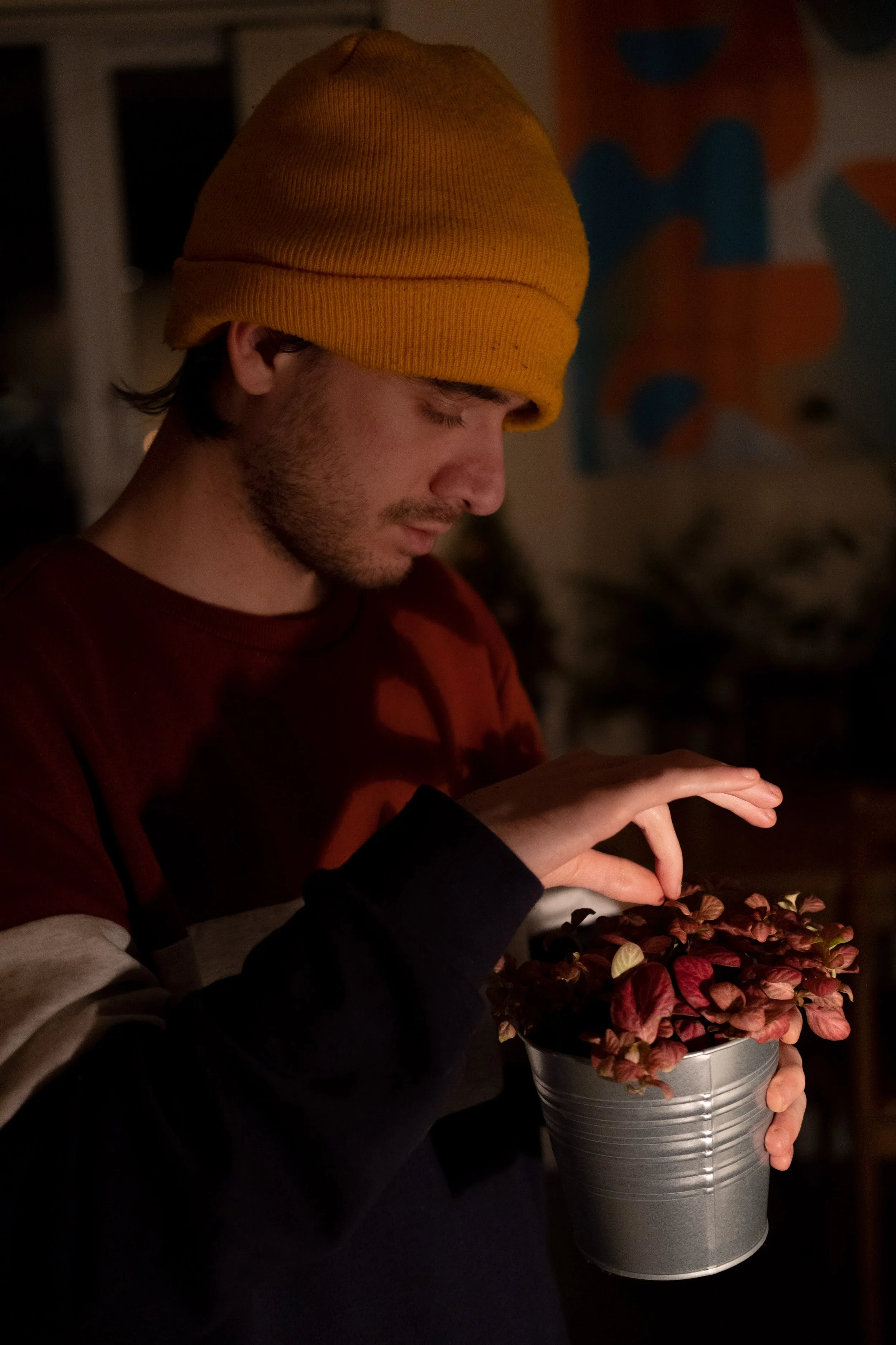 A young man wearing a yellow beanie and a maroon and black sweatshirt is holding a small metallic pot with pink and purple flowers, looking at the flowers in a dimly lit room.