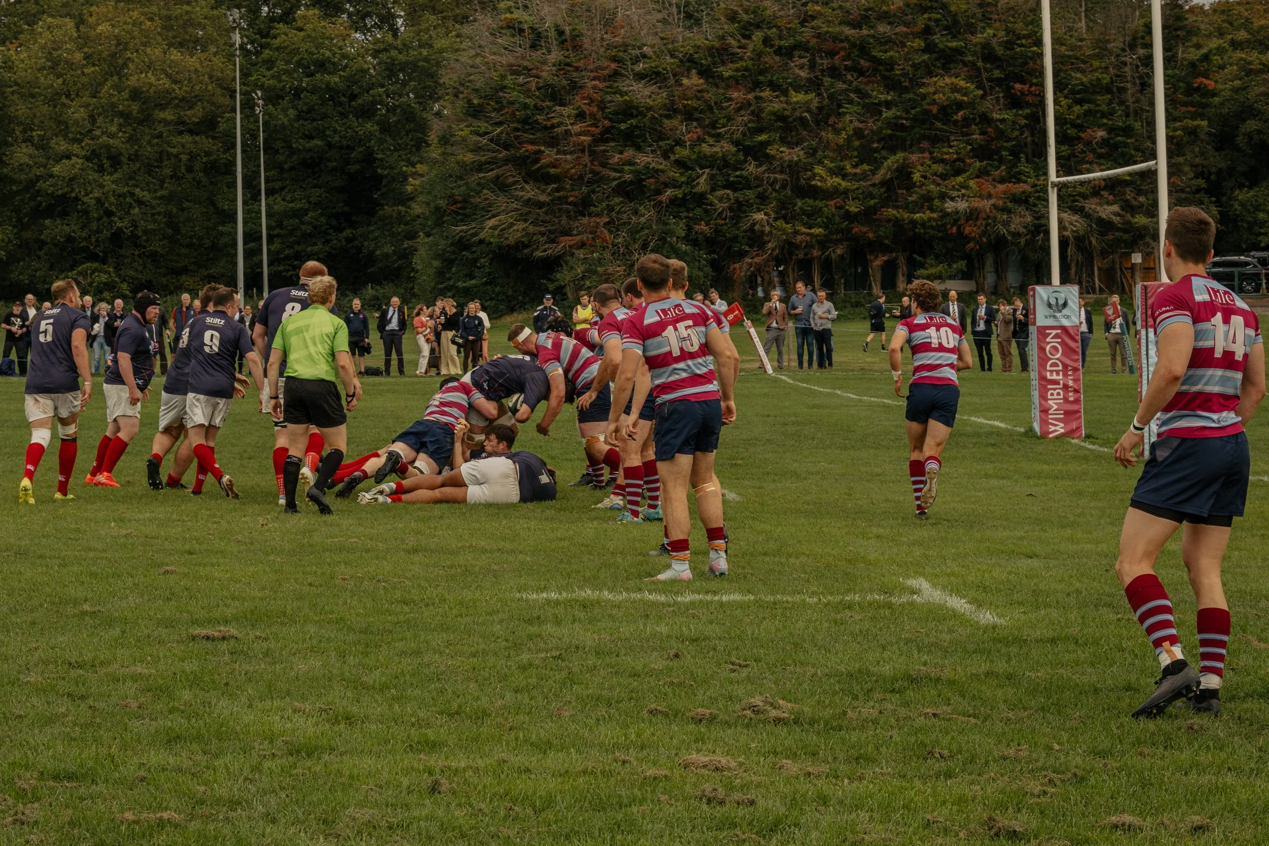 A rugby match with players engaged in a scrum on a grassy field, surrounded by spectators and trees in the background.