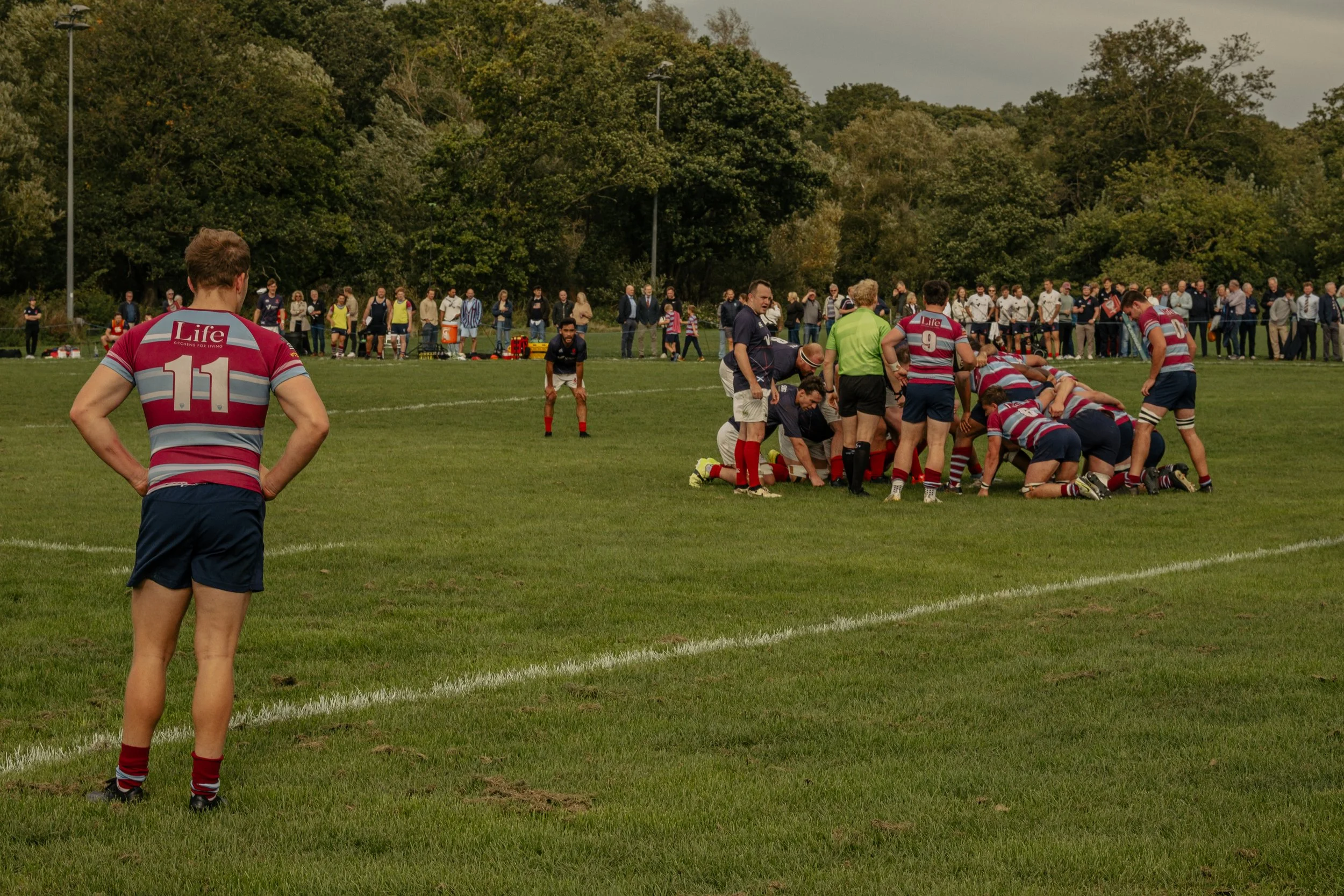 Rugby players in a scrum on a grassy field, with a player in a striped shirt and the number 11 on his back standing with his hands on his hips in the foreground. Spectators watch from the sidelines and behind a rope barrier.