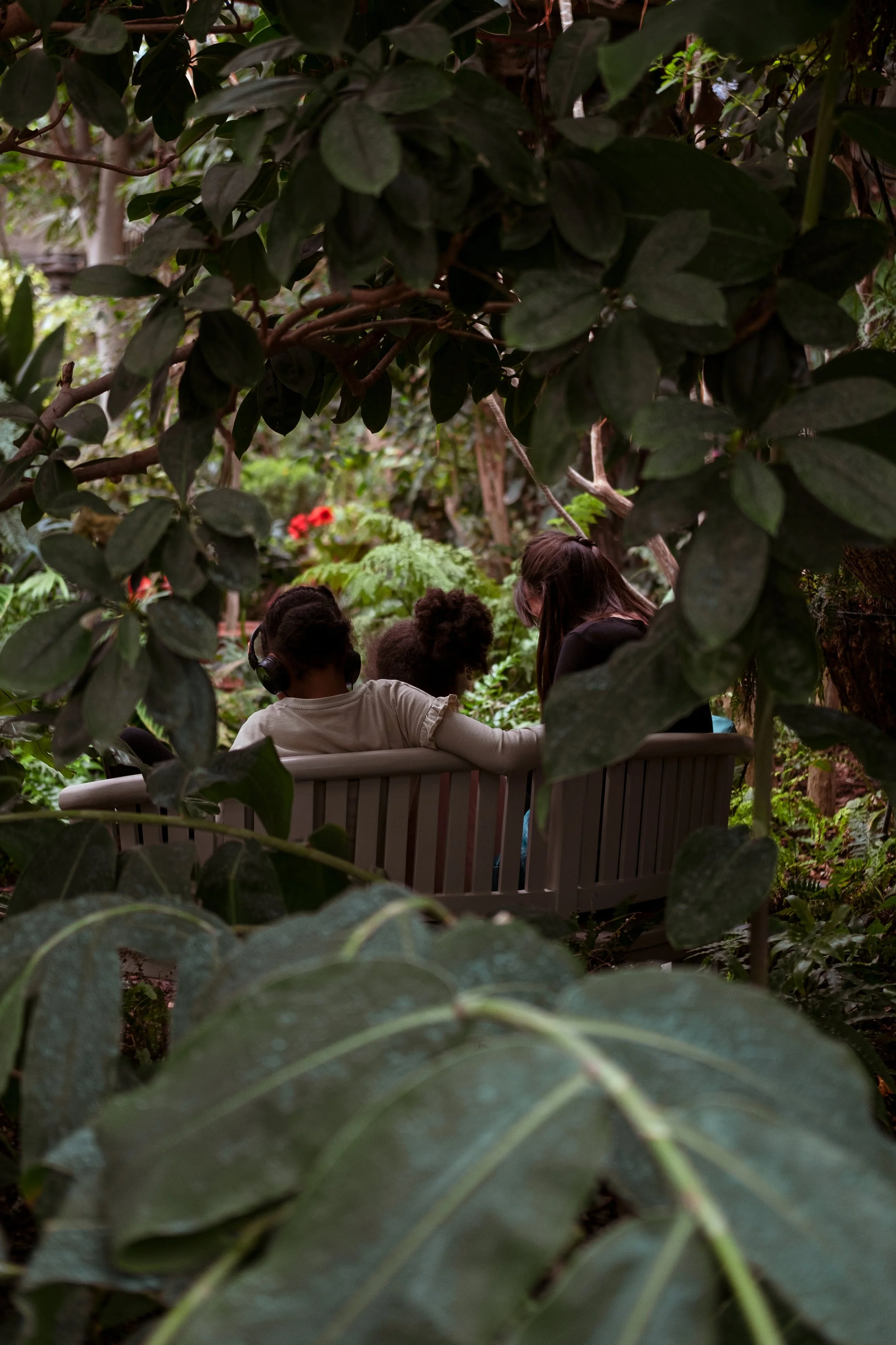 A group of four people sitting on a bench in a lush, green indoor garden surrounded by dense foliage.