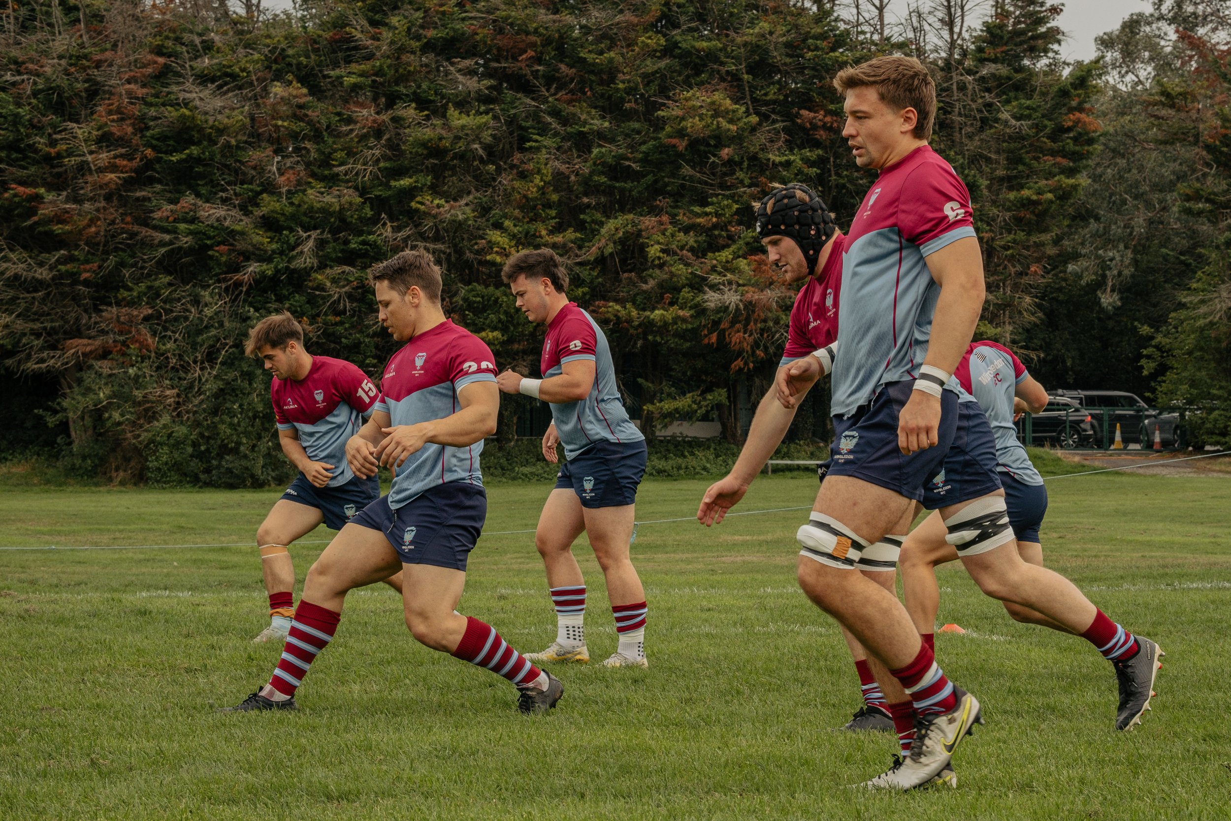 Rugby players in matching maroon and blue uniforms practicing on a grassy field with trees in the background.