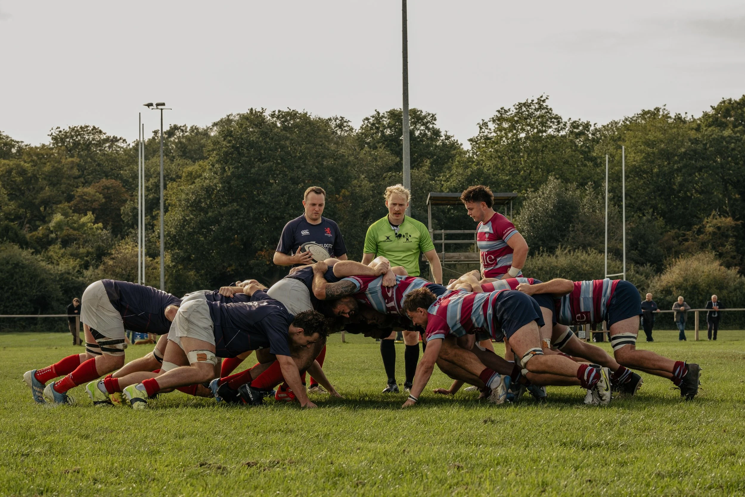 Rugby players in a scrum on a grassy field with referees and spectators in the background.