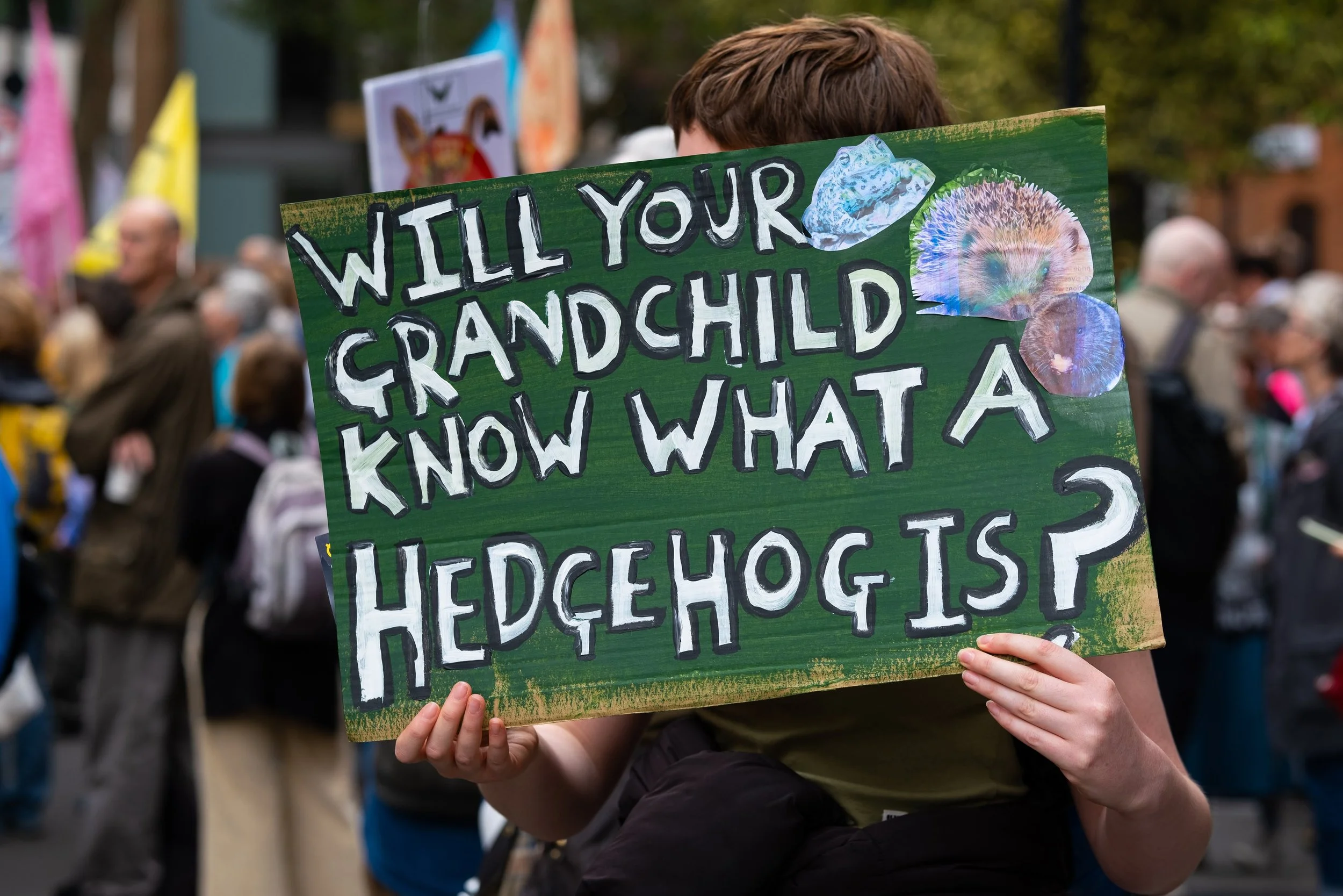 A person holding a green protest sign that says, 'Will your grandchild know what a hedgehog is?' in a crowd during a protest or rally.