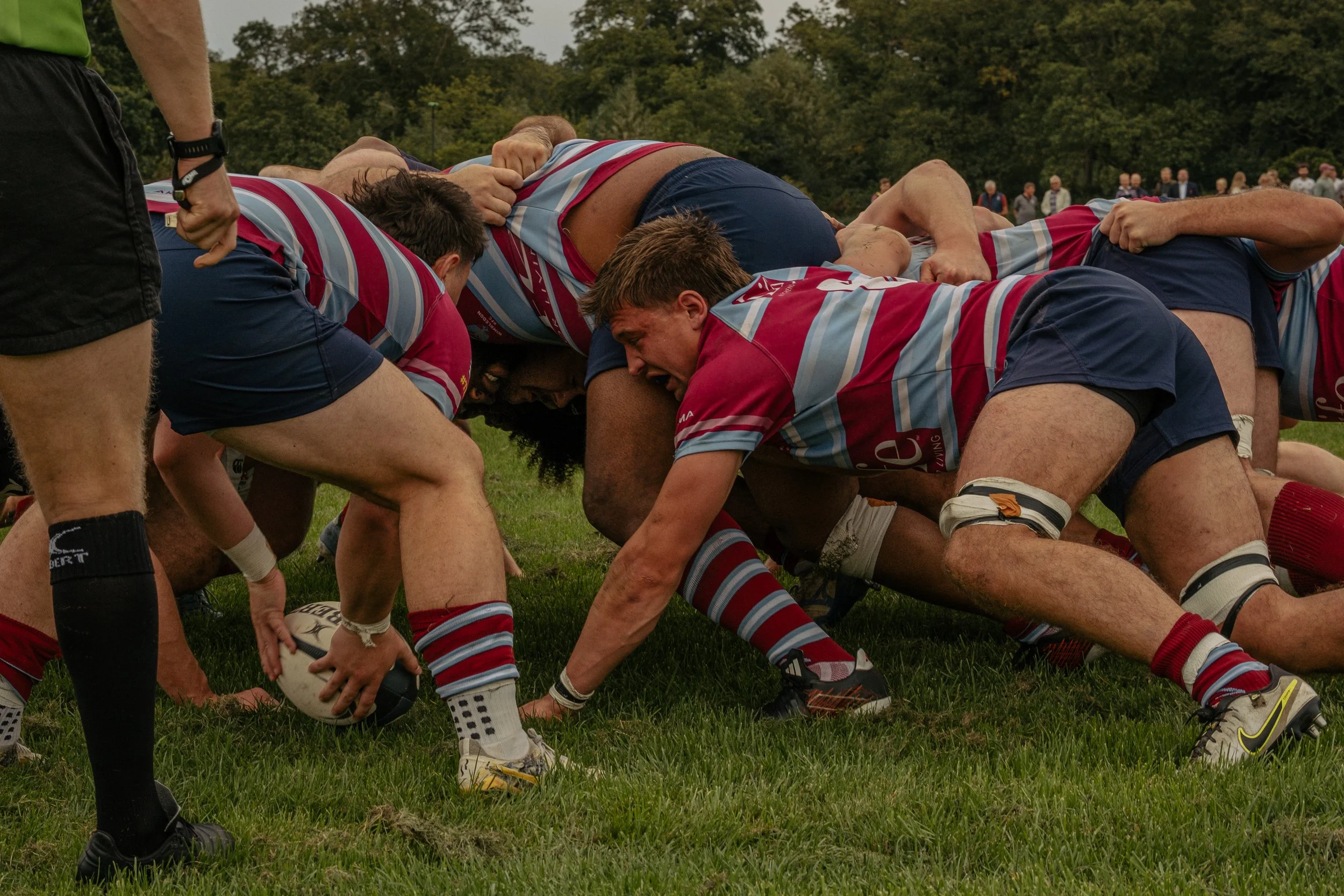 Rugby players engaged in a scrummage on a grassy field with spectators in the background.
