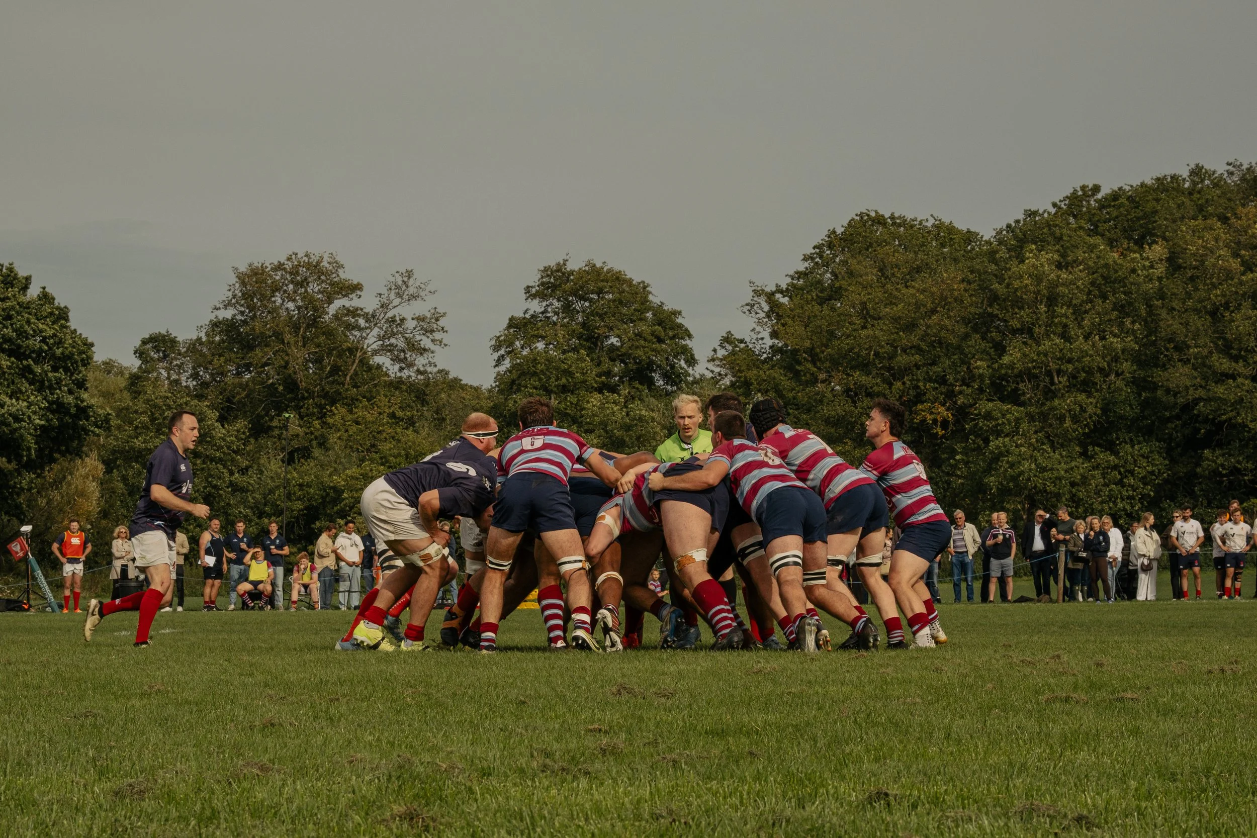 Rugby match with players in a scrum on a grassy field, spectators watching in the background, trees in the distance.