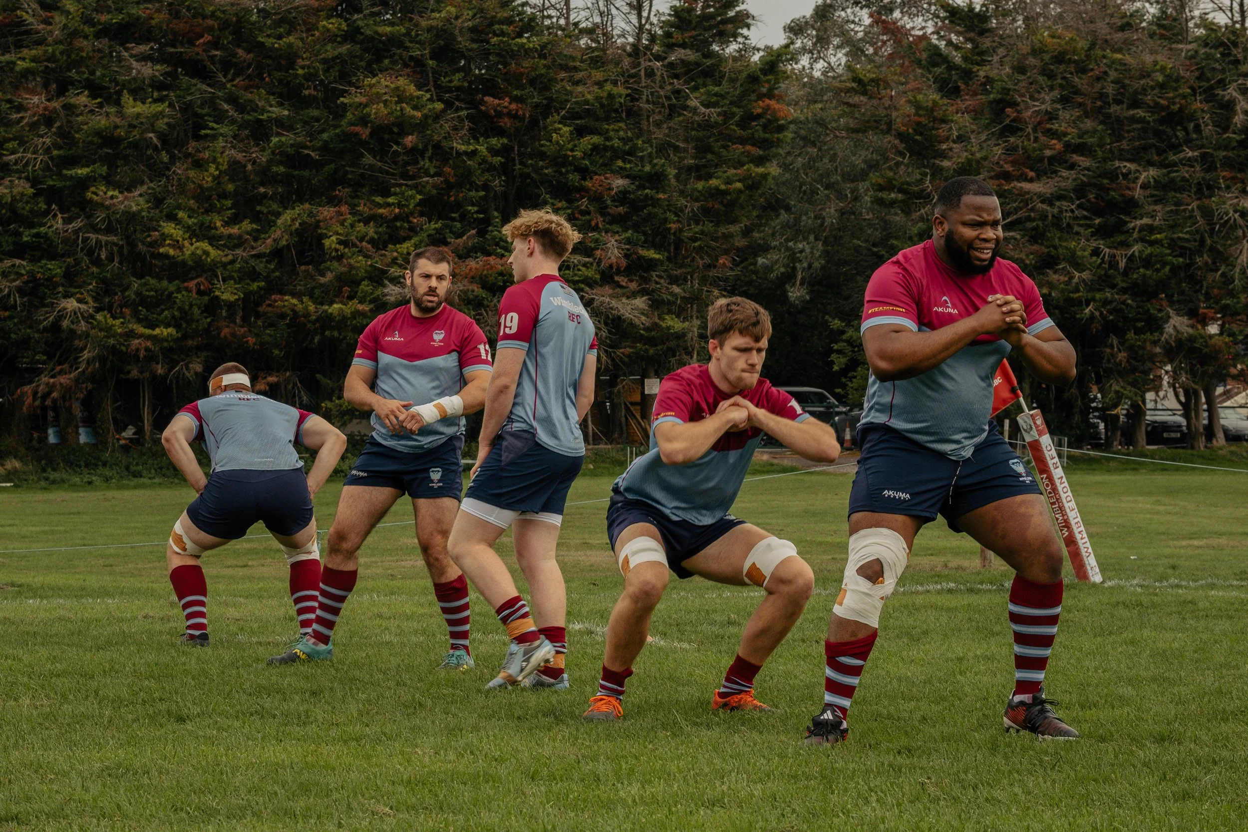 Rugby players stretching on a green field with trees in the background, wearing maroon, gray, and navy uniforms.