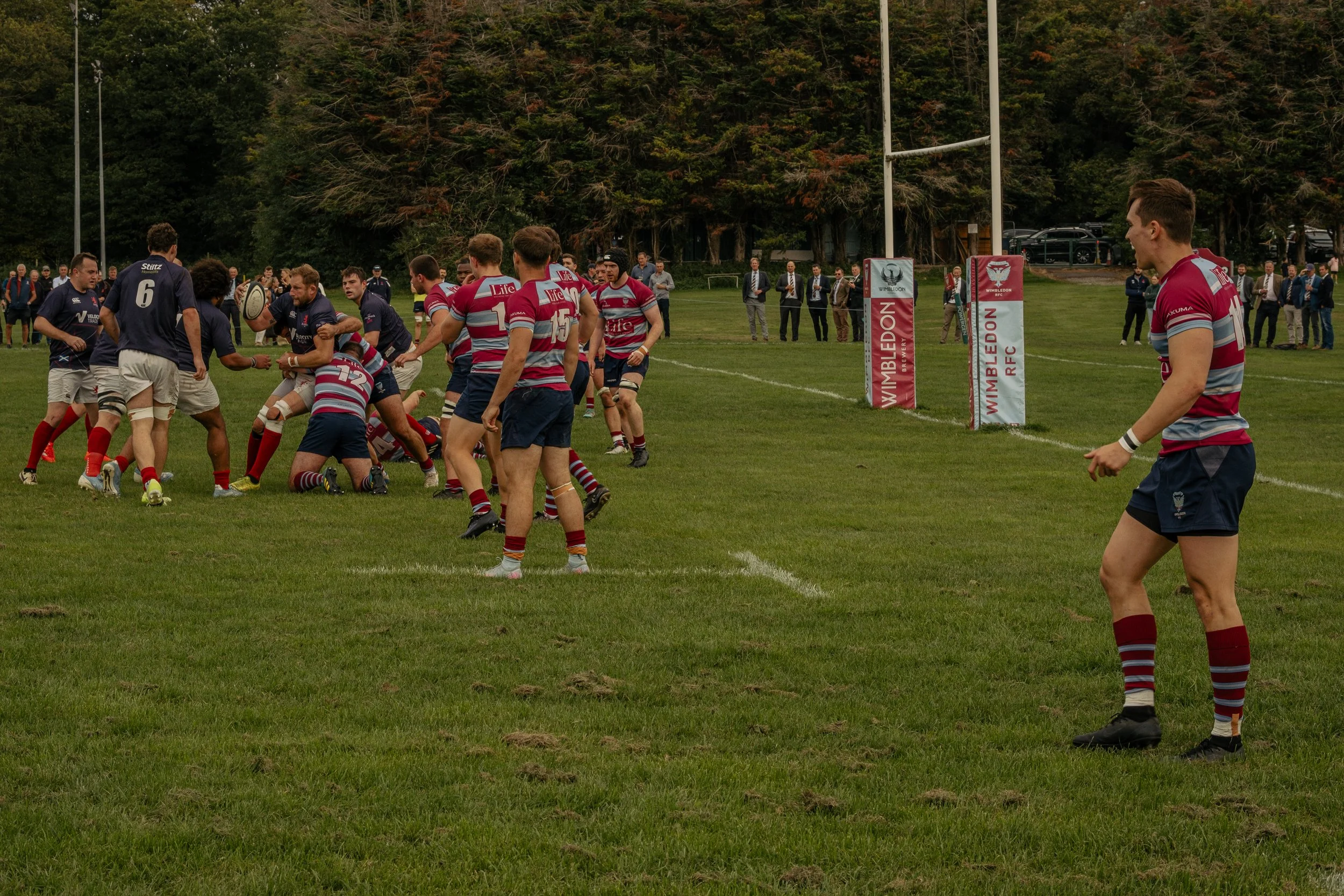 A rugby match taking place on a grassy field with players in navy and striped uniforms. One player is holding the rugby ball, and others are engaged in a scrum or preparing to join the play. Spectators and officials watch from the sidelines, and goal