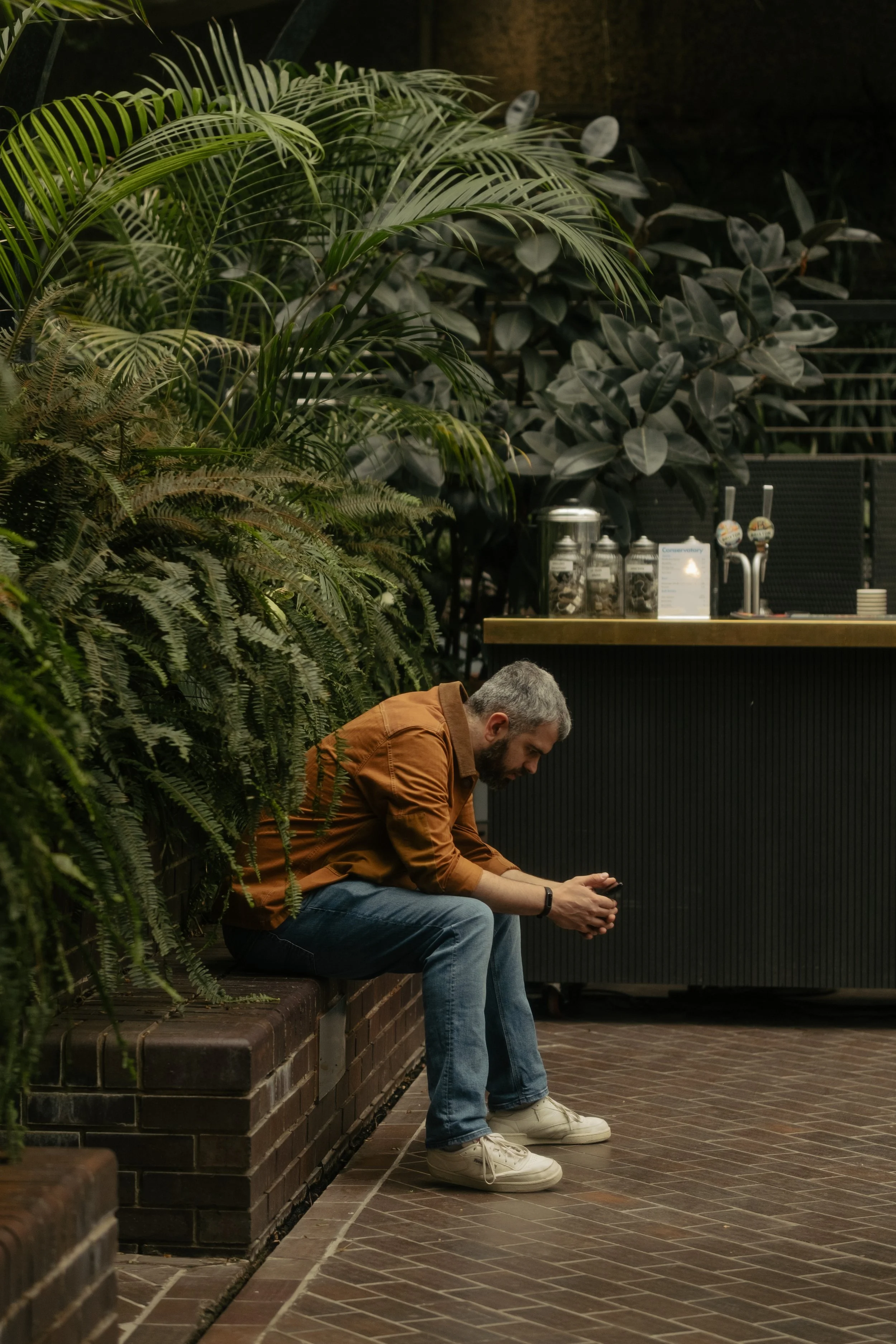 A man with gray hair and beard, wearing a brown shirt and jeans, sits on a brick ledge looking at his phone, surrounded by lush green plants in an indoor setting with a beige and black counter in the background.