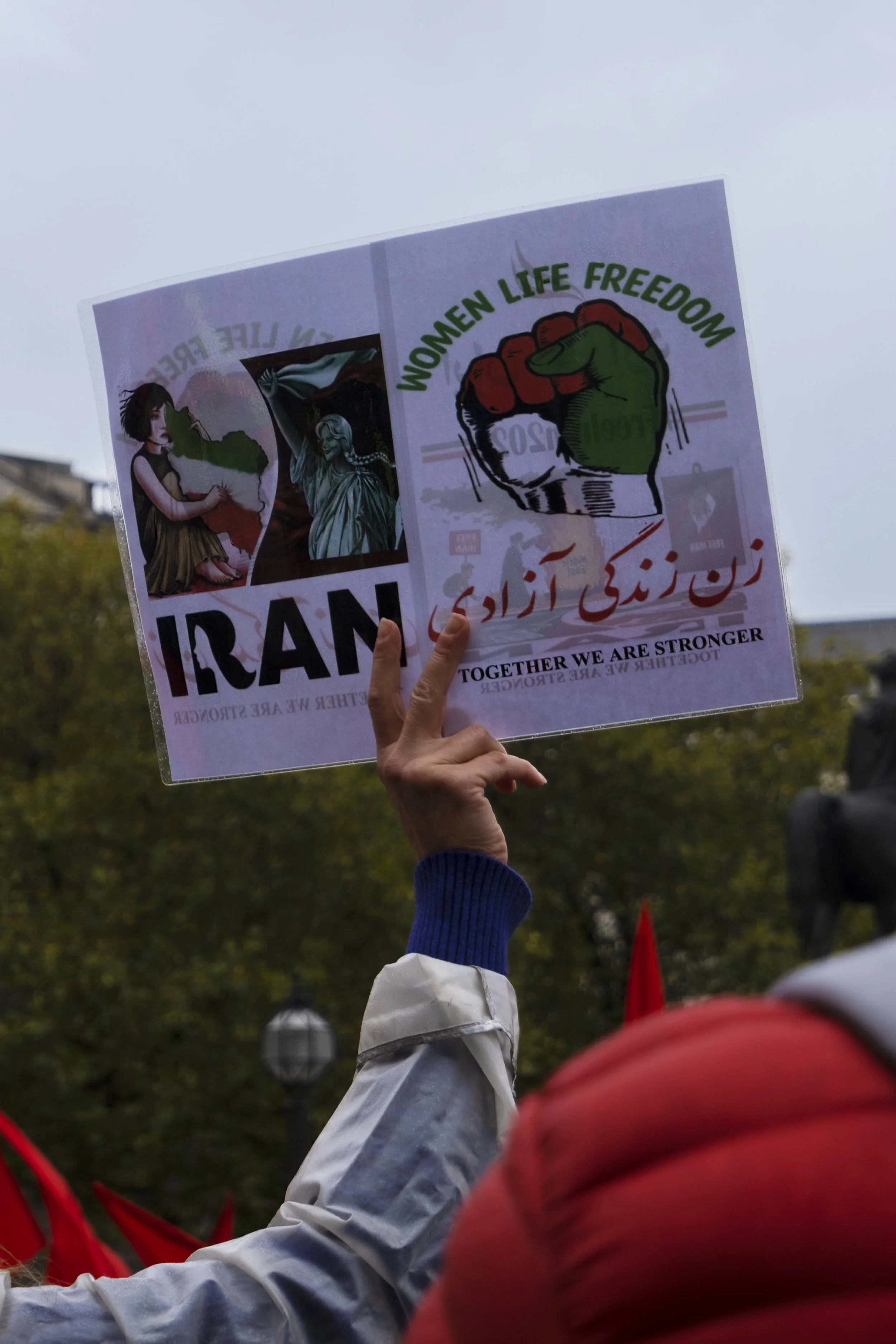 A protestor holding a sign with symbols supporting women's rights and protesting Iran. The sign features a clenched fist, images of women, and text in English and Farsi. The background shows trees and a cloudy sky.