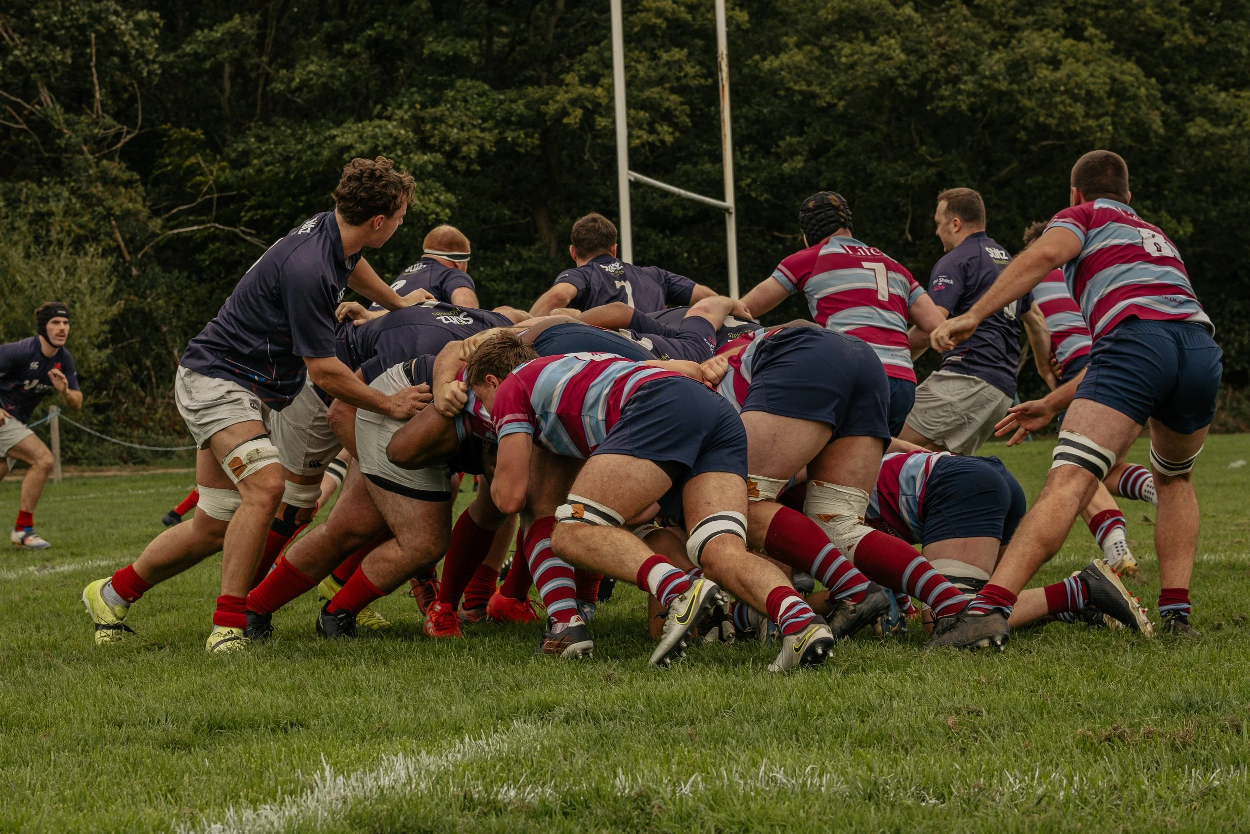 A rugby match with players engaged in a scrum on a grassy field during daytime, with trees in the background.