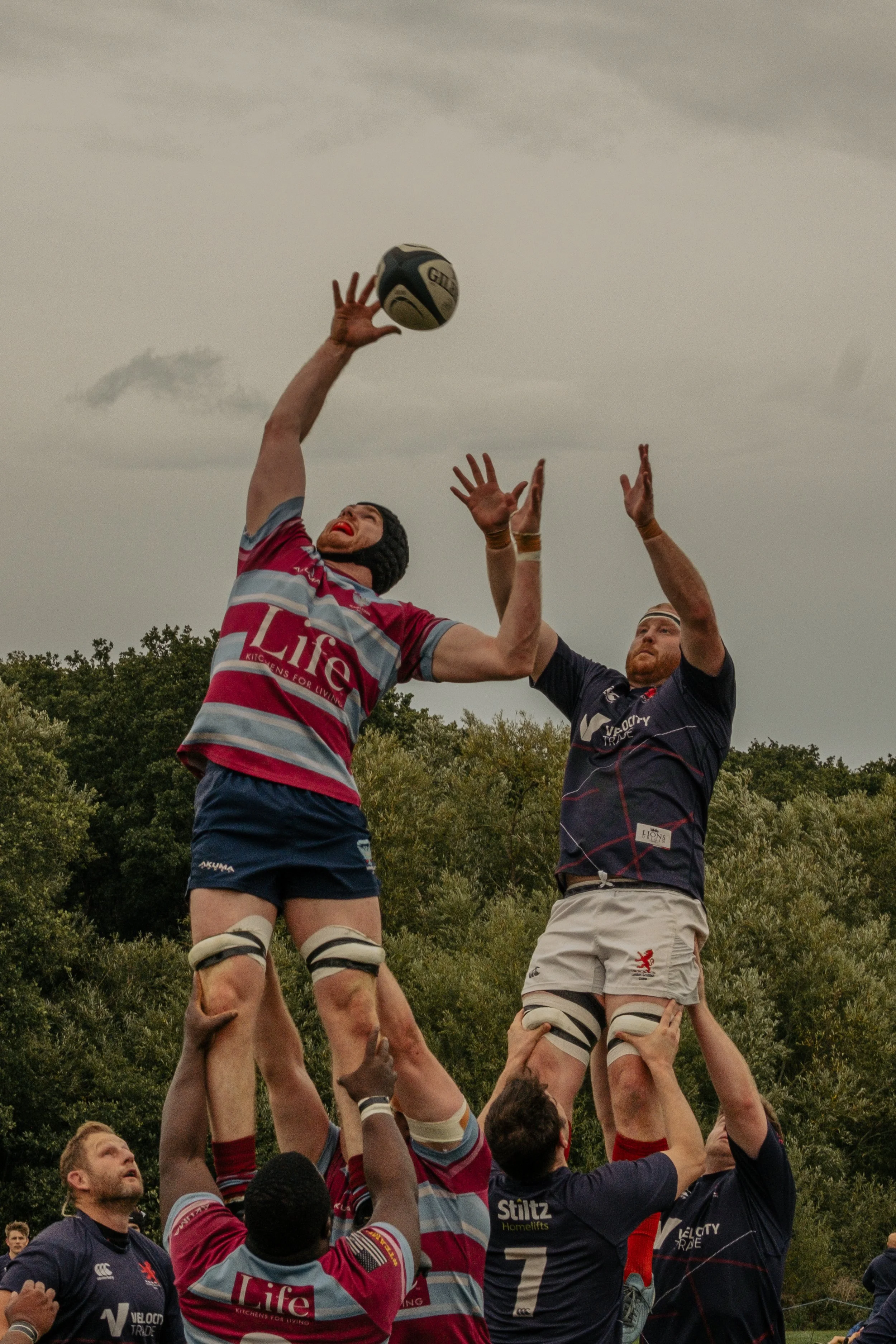 Rugby players competing in a line-out, with one player jumping to catch the ball, surrounded by teammates and opponents.