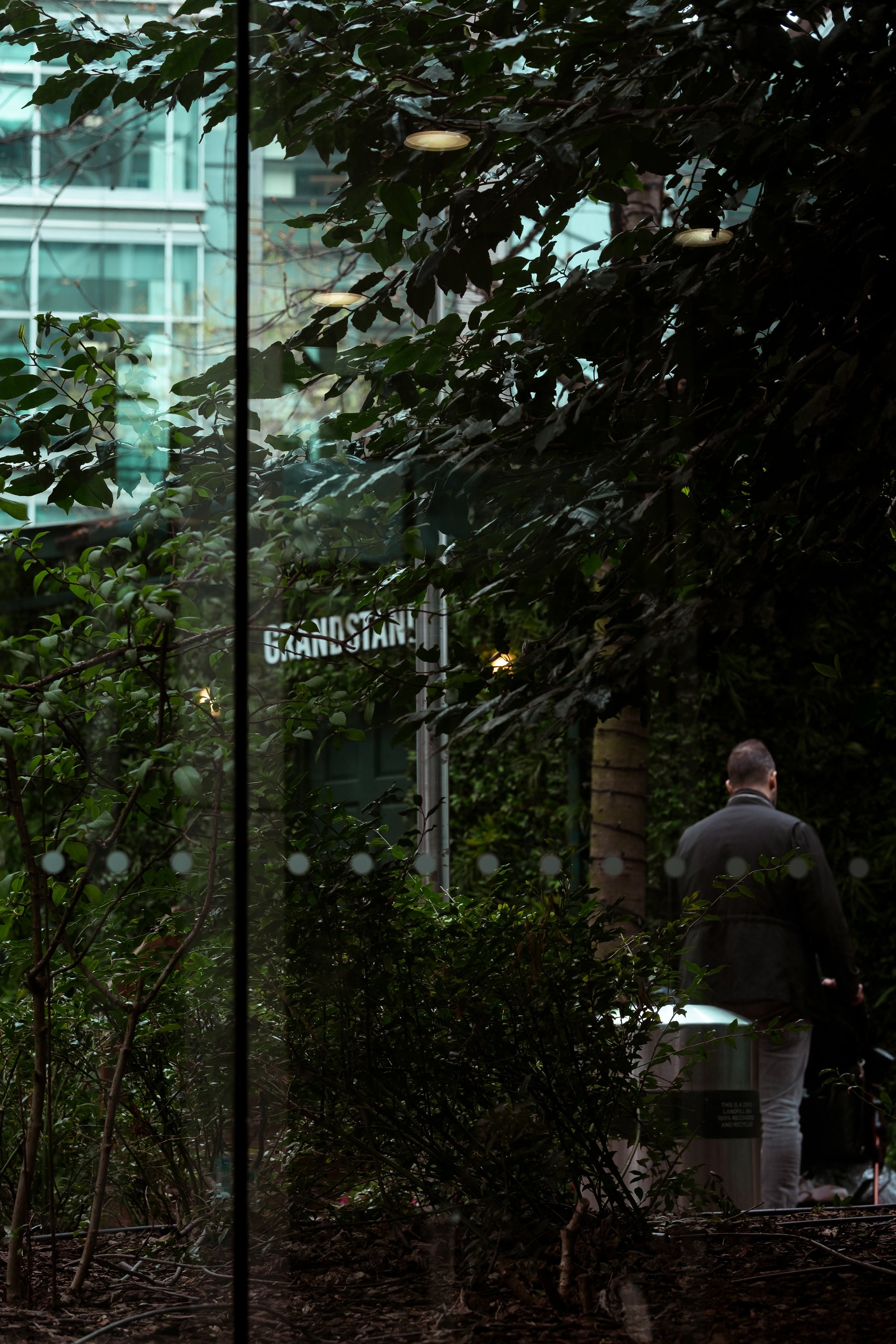 A man stands outside behind a glass window with greenery, trees, and plants in the foreground. The window reflects the trees and a building in the background.