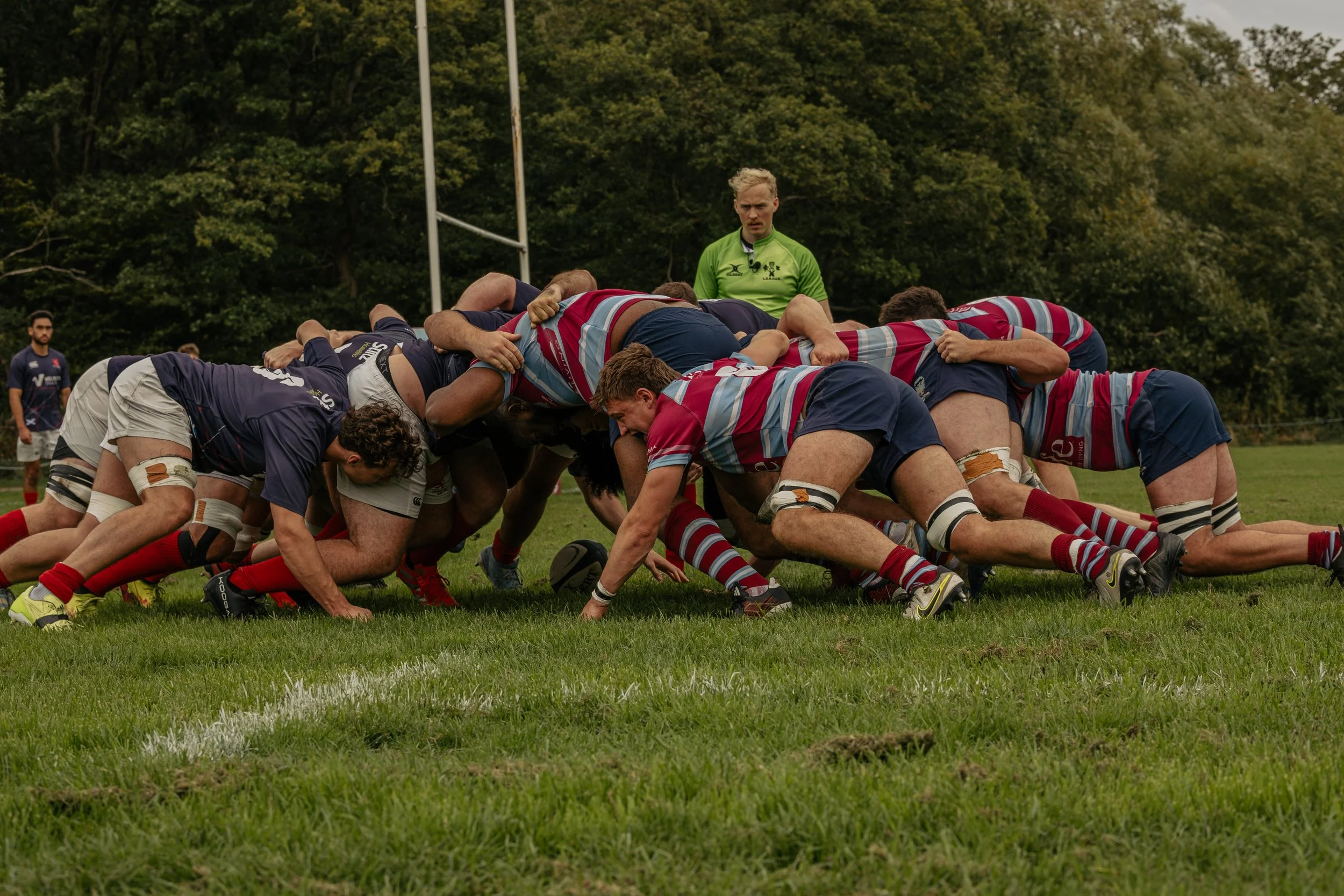 Rugby players engaged in a scrum during a match on a grassy field, with a referee in a green jersey observing and a background of trees.