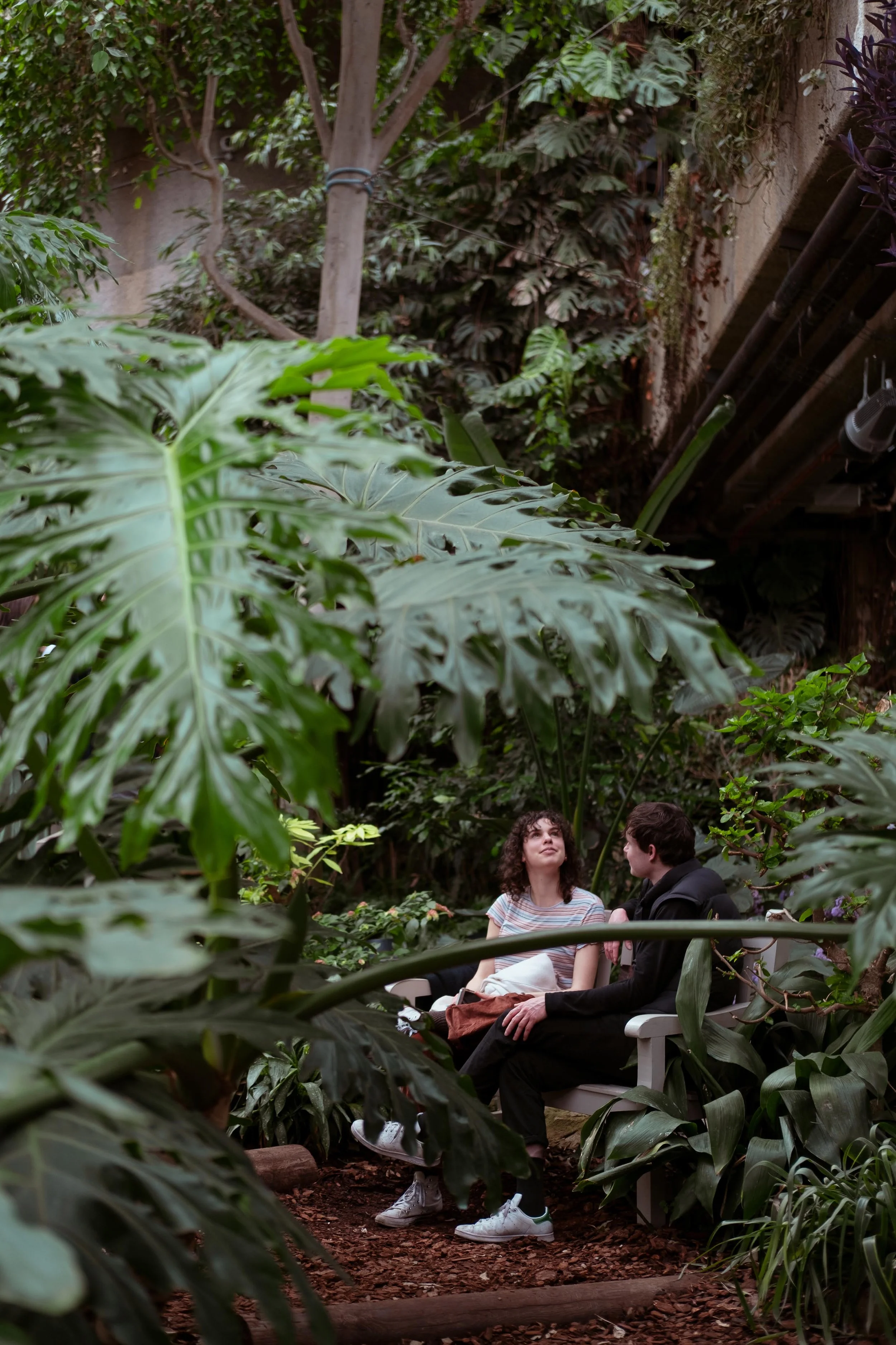 Two people sitting on a white bench in a lush indoor garden with large green leaves and dense foliage.