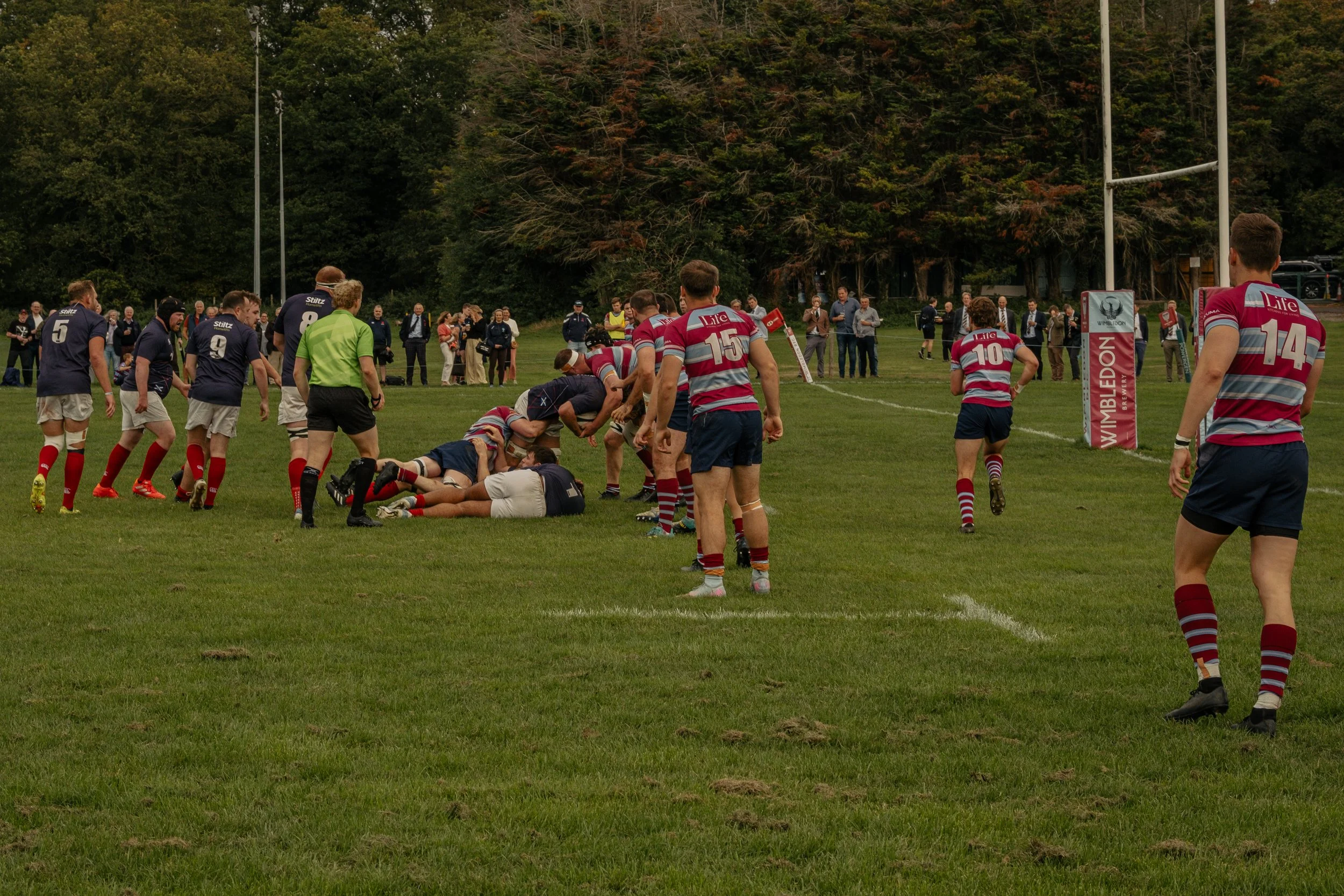 Rugby players in a match on a grassy field, some players are tackling and others are standing around, with spectators watching in the background.