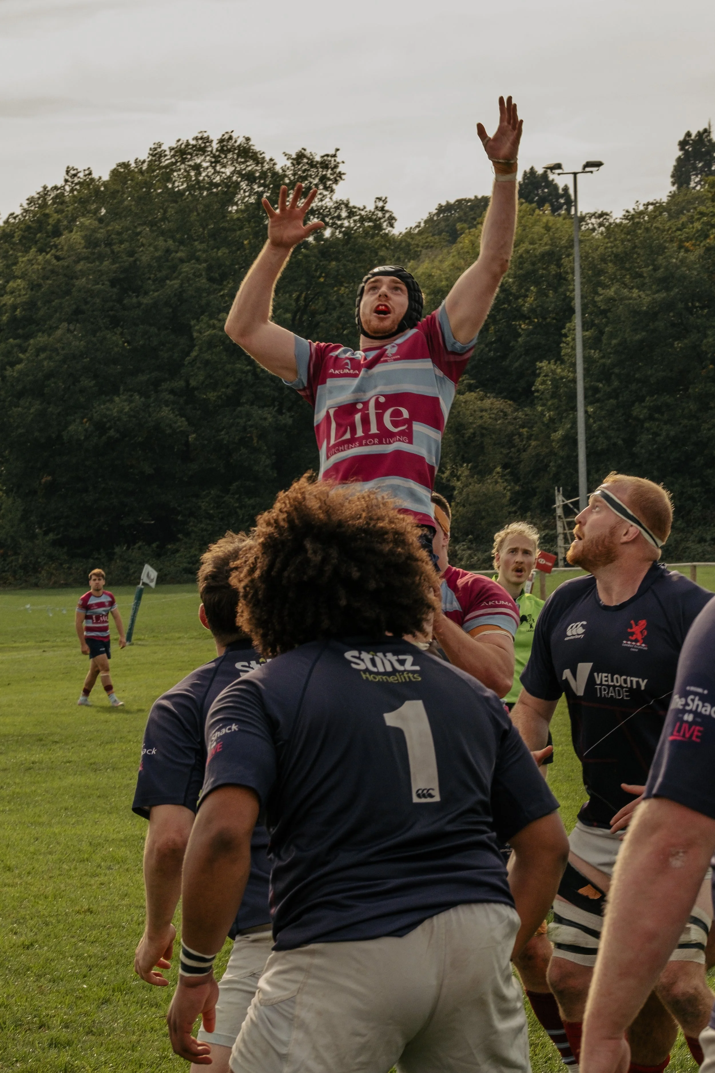 Rugby players competing in a lineout, with a player in a maroon and gray striped jersey being lifted by teammates, while opponents in navy blue jerseys watch and prepare for the next play.
