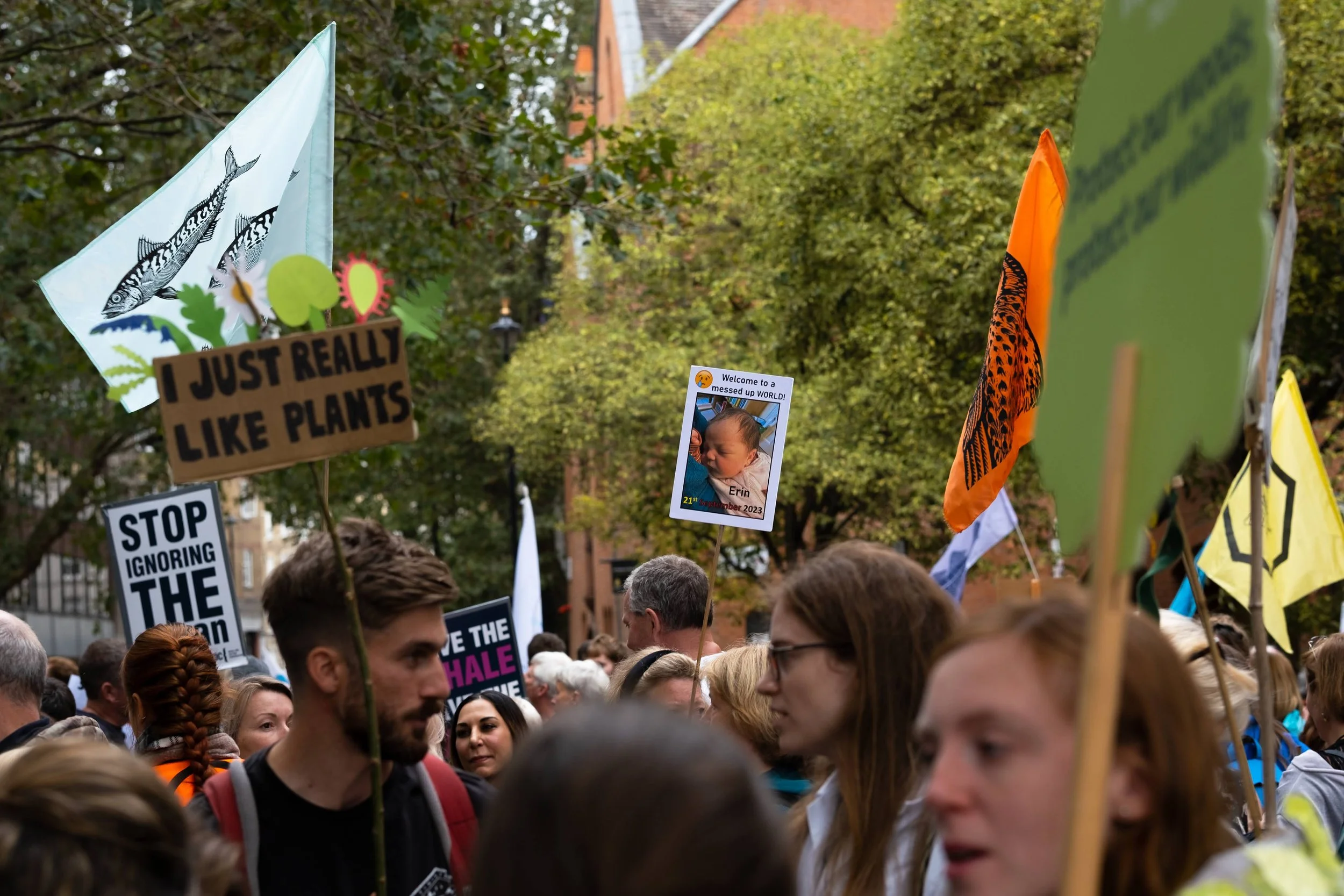 A crowd of protesters holding signs and flags at a rally or demonstration, with trees and buildings in the background.