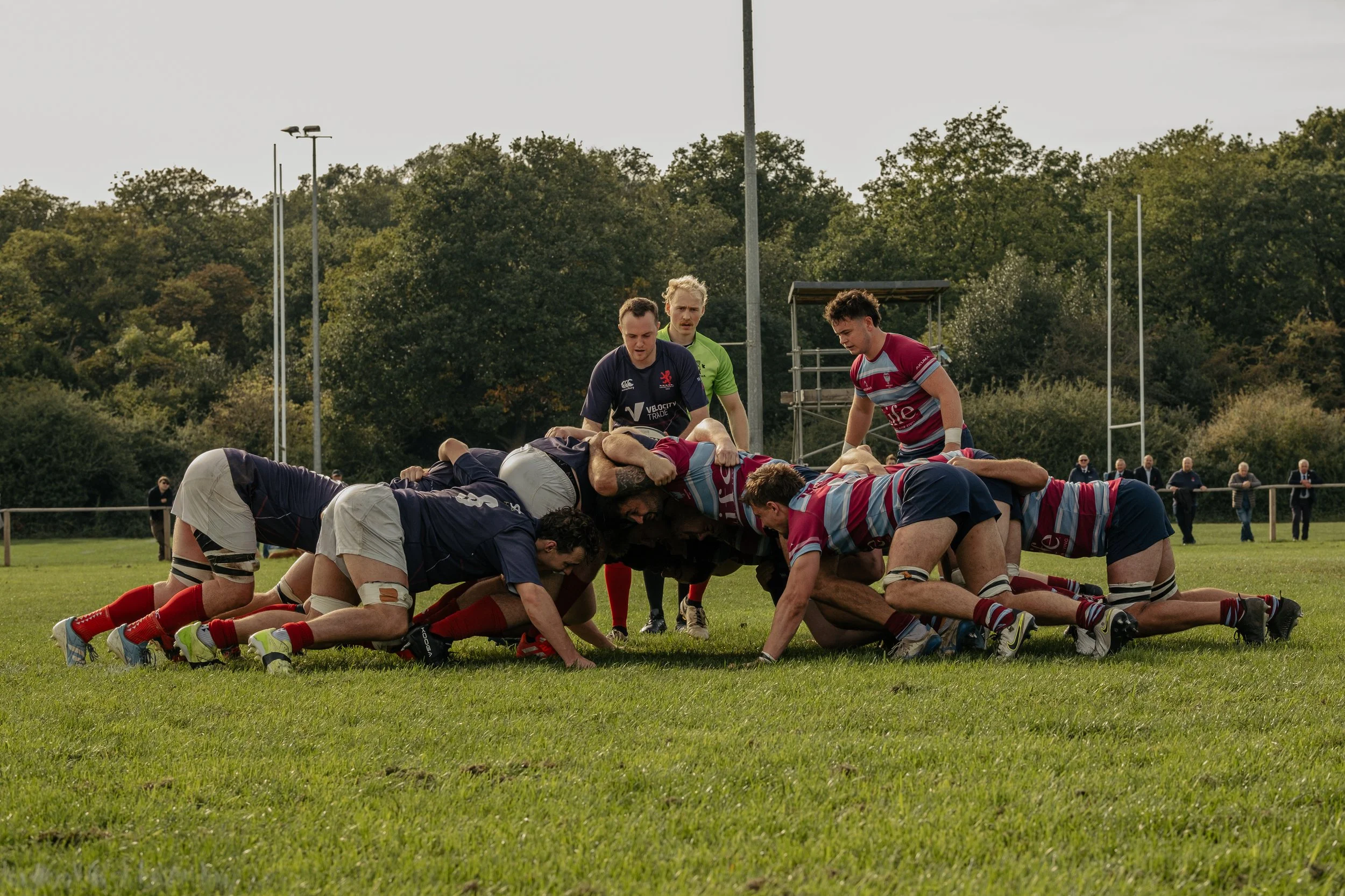 Rugby players engage in a scrum on a grassy field during a game, with players wearing blue and red jerseys and referees observing in the background.