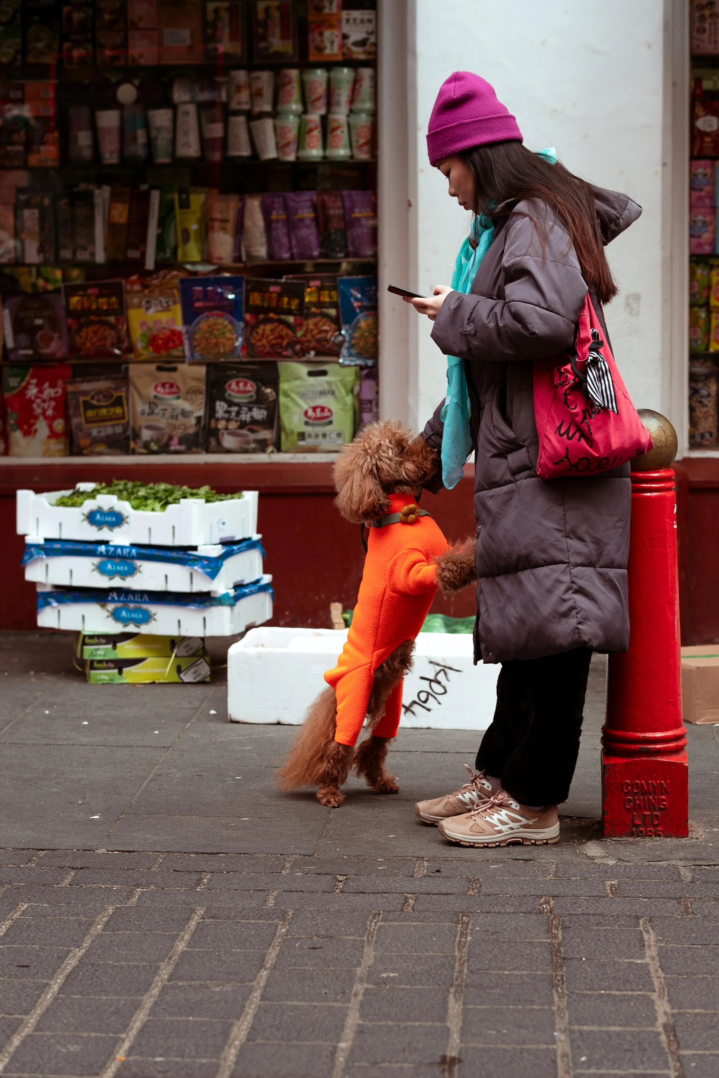 A woman with a pink beanie, gray coat, black pants, and sneakers, standing on a city sidewalk near a red post box. She is holding a smartphone while a small dog in an orange sweater, standing on its hind legs, touches her hand. The woman has a pink t