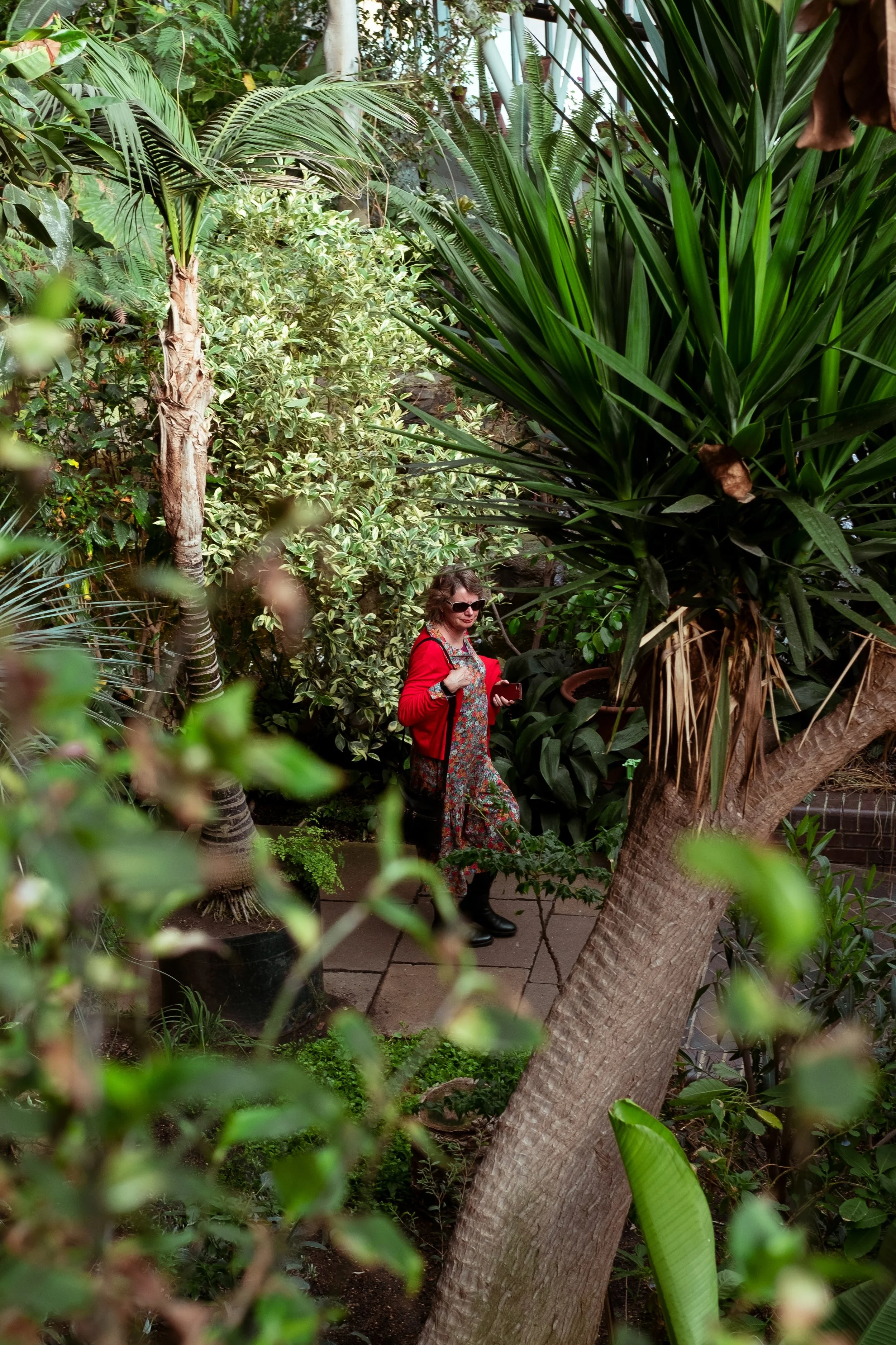 A woman with curly hair, sunglasses, and a floral dress, wearing a red cardigan, stands among lush green plants and trees in a garden or greenhouse, holding a red object.