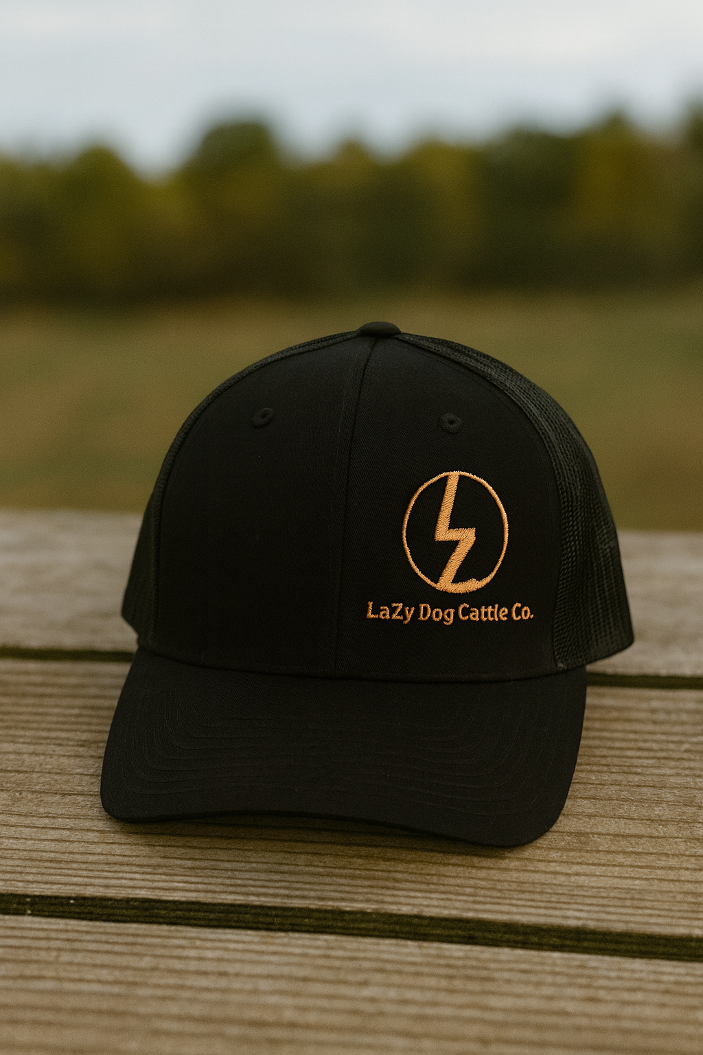 ChatGPT Image Dec 12, 2025, 02_44_54 PM.png