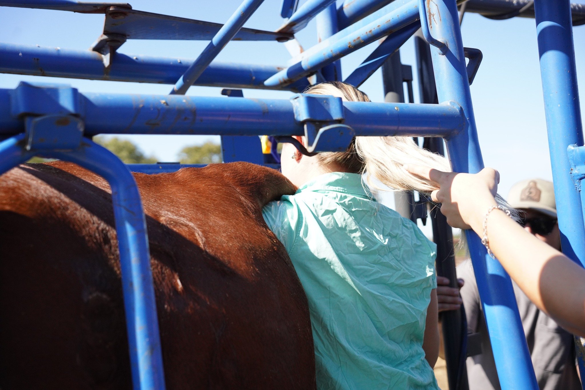 Real friends hold your hair back when you palpate 🤪

⋘ ───────────── ⋙
𝗟𝗔𝗭𝗬 𝗗𝗢𝗚 𝗖𝗔𝗧𝗧𝗟𝗘 𝗖𝗢𝗠𝗣𝗔𝗡𝗬
lazydogcattle.com ◦ Scurry, TX
⋘ ───────────── ⋙

#lazydogcattle #ranchlife #cattleranch #texasranch #familyranch #beefcattle #palpati