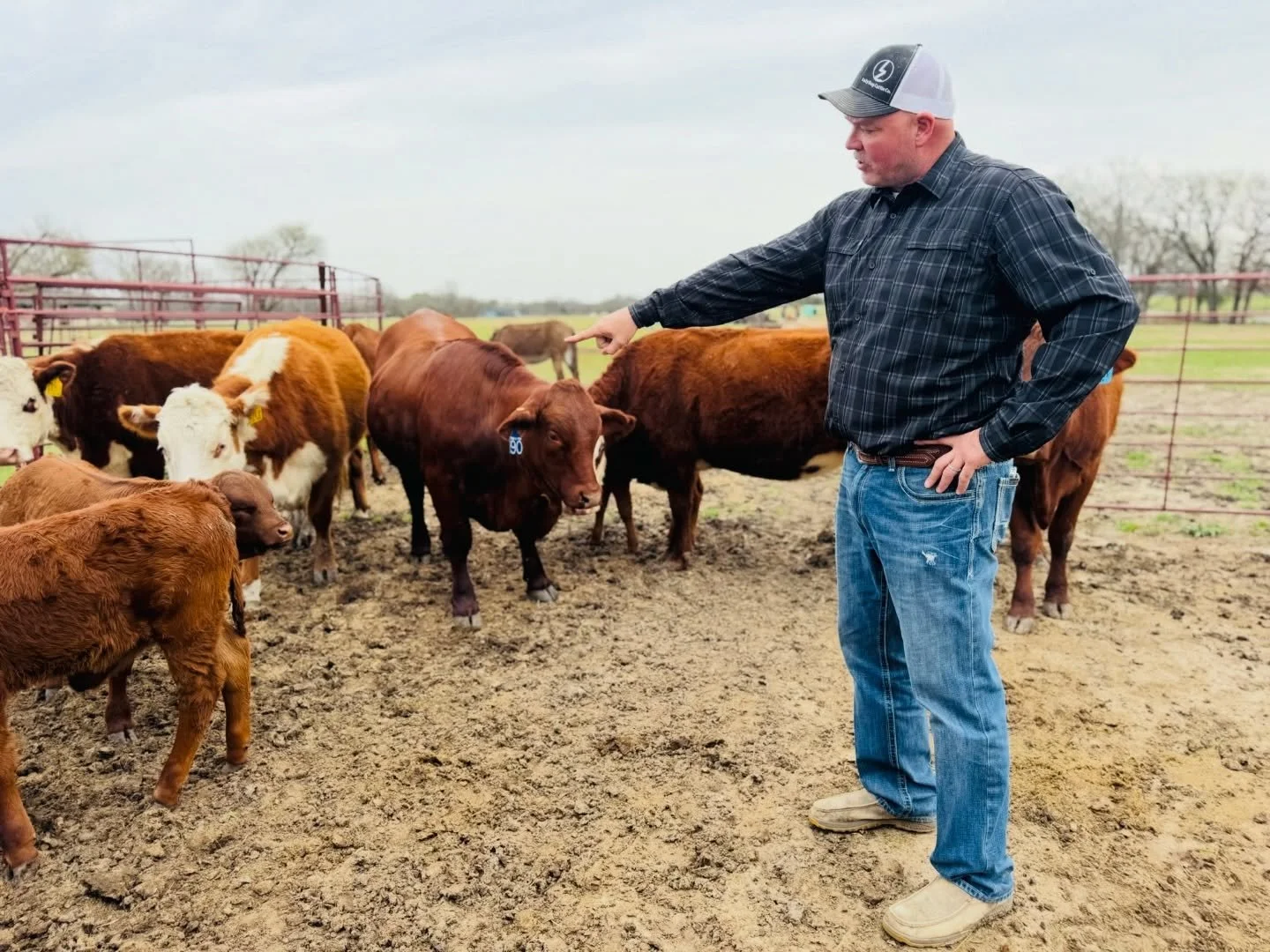 What is Zach talking about? Comment below🤪

 ───────────── ⋙
𝗟𝗔𝗭𝗬 𝗗𝗢𝗚 𝗖𝗔𝗧𝗧𝗟𝗘 𝗖𝗢𝗠𝗣𝗔𝗡𝗬
lazydogcattle.com ◦ Scurry, TX
⋘ ───────────── ⋙

#lazydogcattle #calvingseason #ranchlife #texasranch #beefcattle