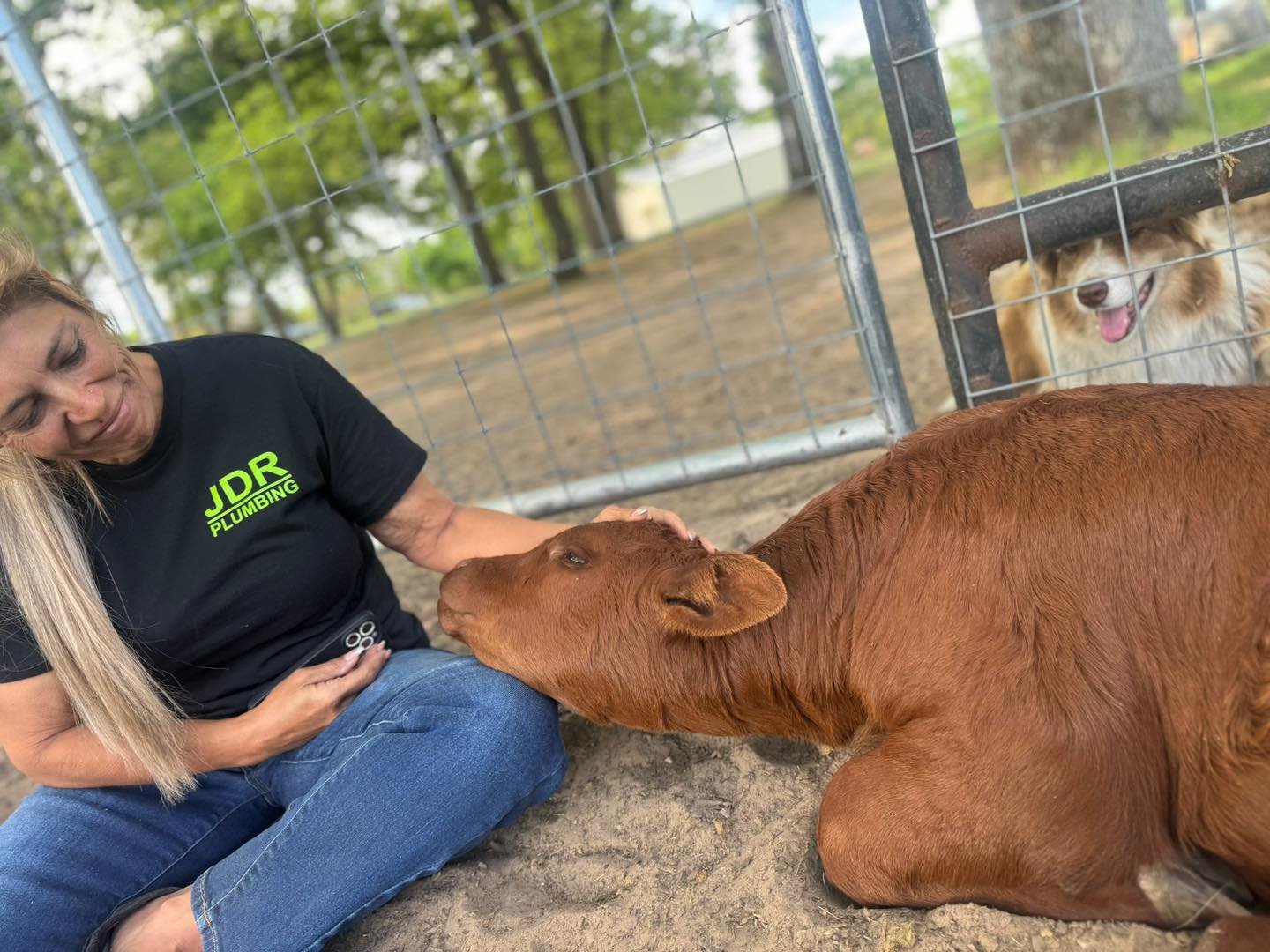 Ella is the sweetest thing!! Full intro to come but she is the cutest🩷

lazydogcattle.com

#cutecalf #babycalf #santagertudis #showcattle #beef  #beefcattle #beefcattleproduction